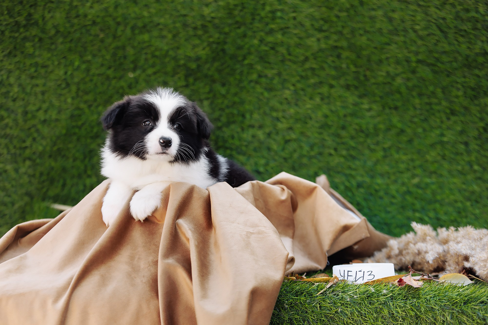 Новый лист. О нас