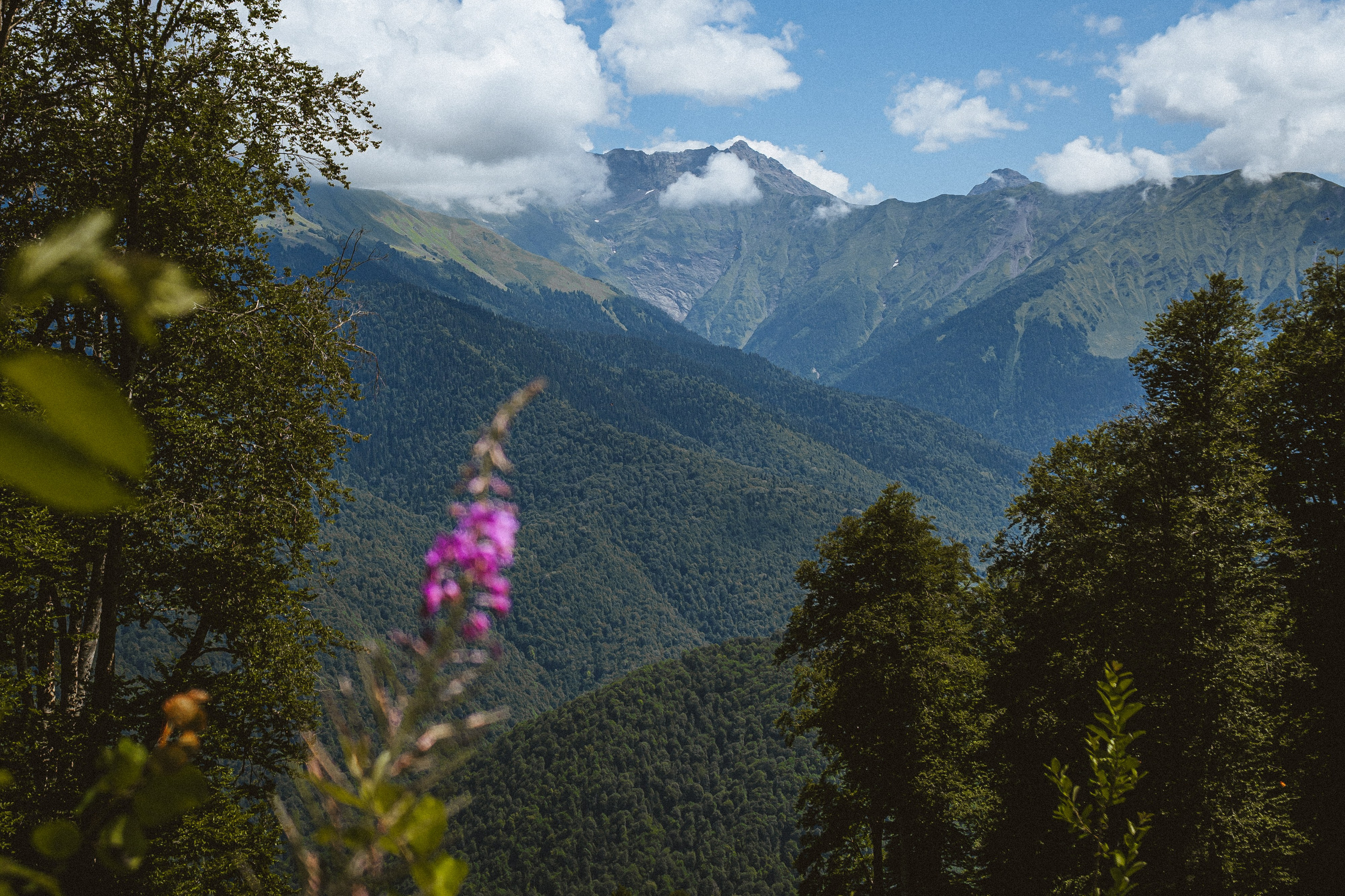 Организатор Авторских Туров Жукова Алёна