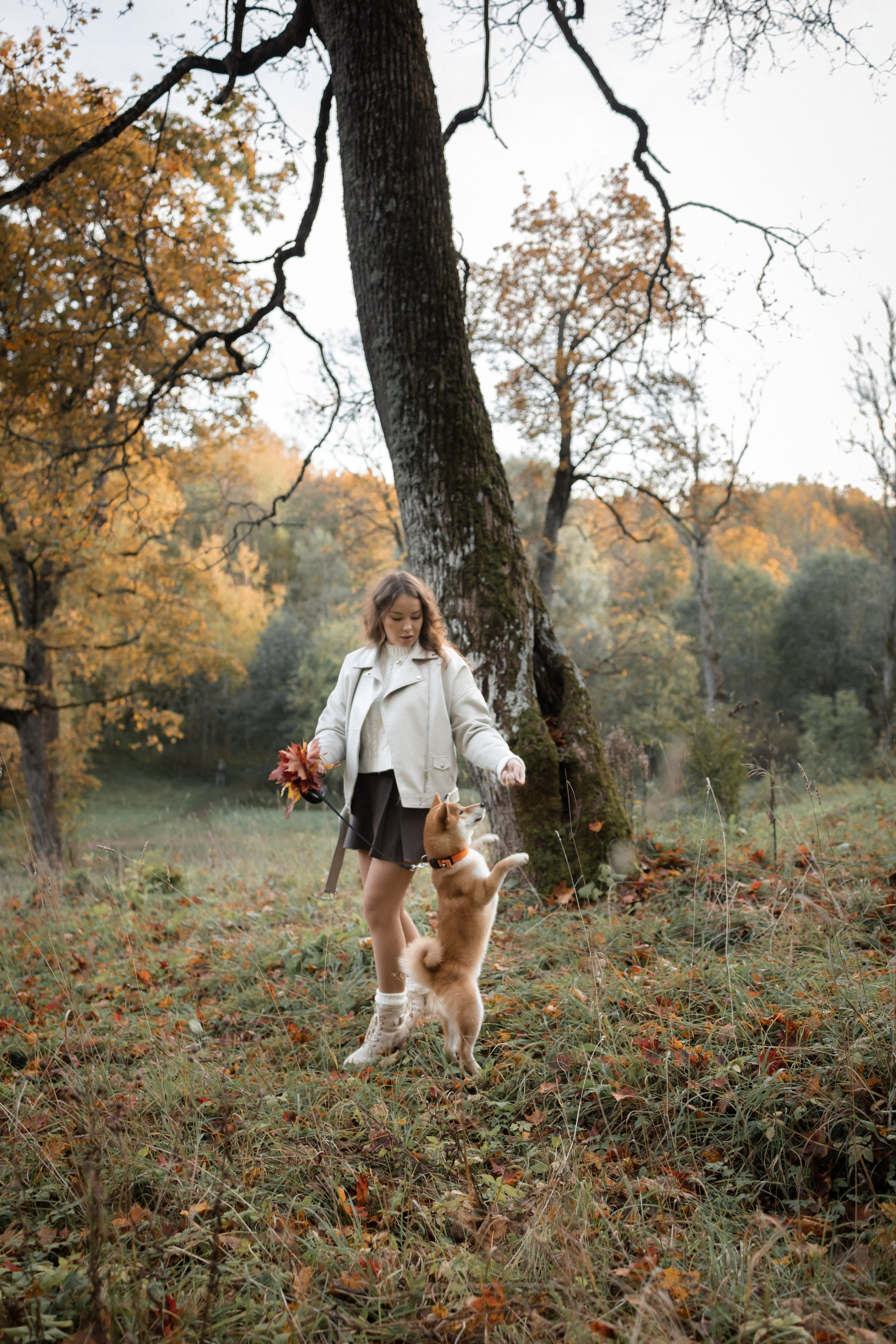 Фотосессия с собакой в осеннем Дудергофе. Семейный и детский фотограф в Санкт-Петербурге Павлова Елена