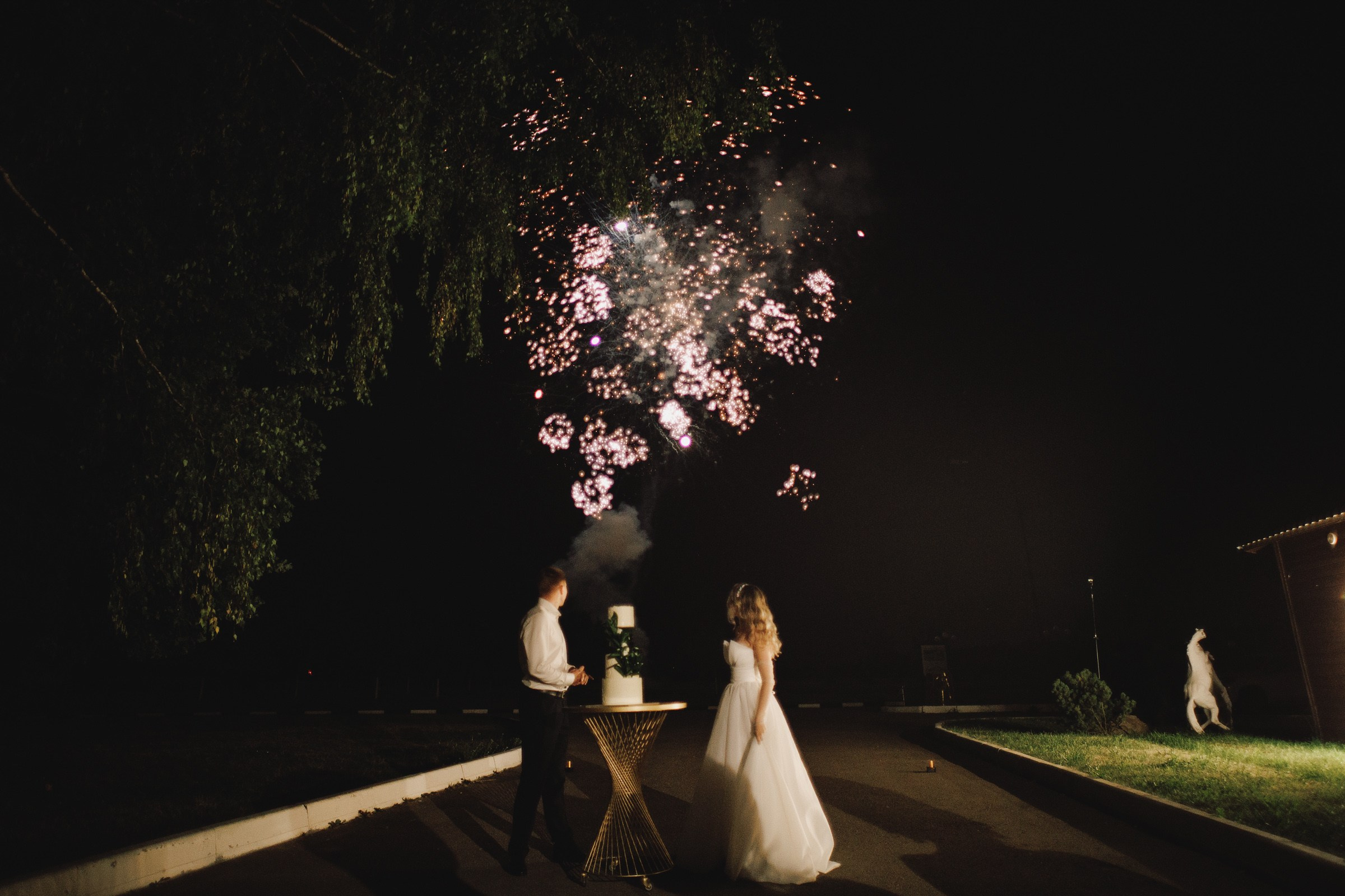 Дмитрий Полина. Свадебный фотограф и видеограф Дмитрий Горяченков