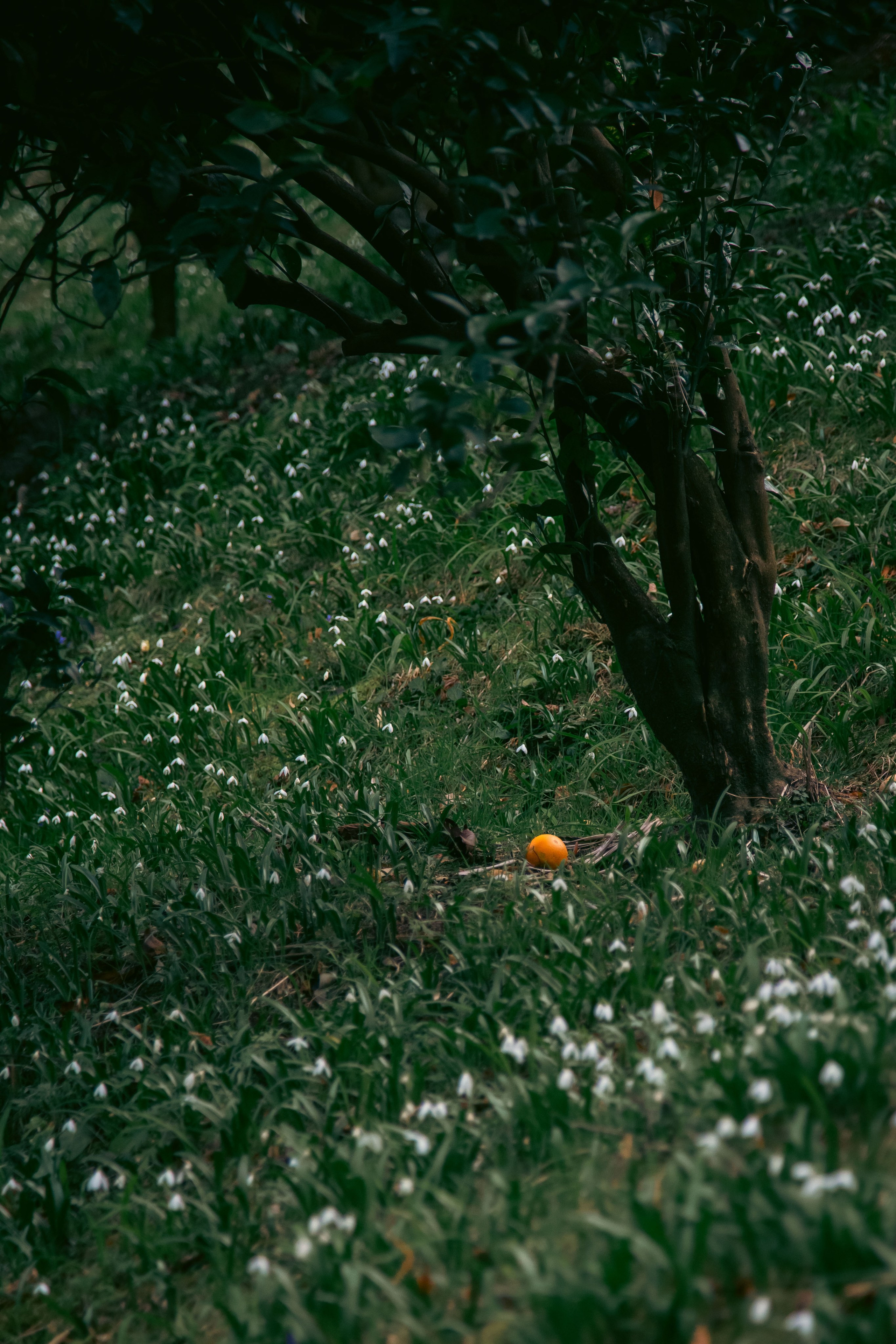 Batumi. Dmitriy [KCCC] is a pretty cool photographer