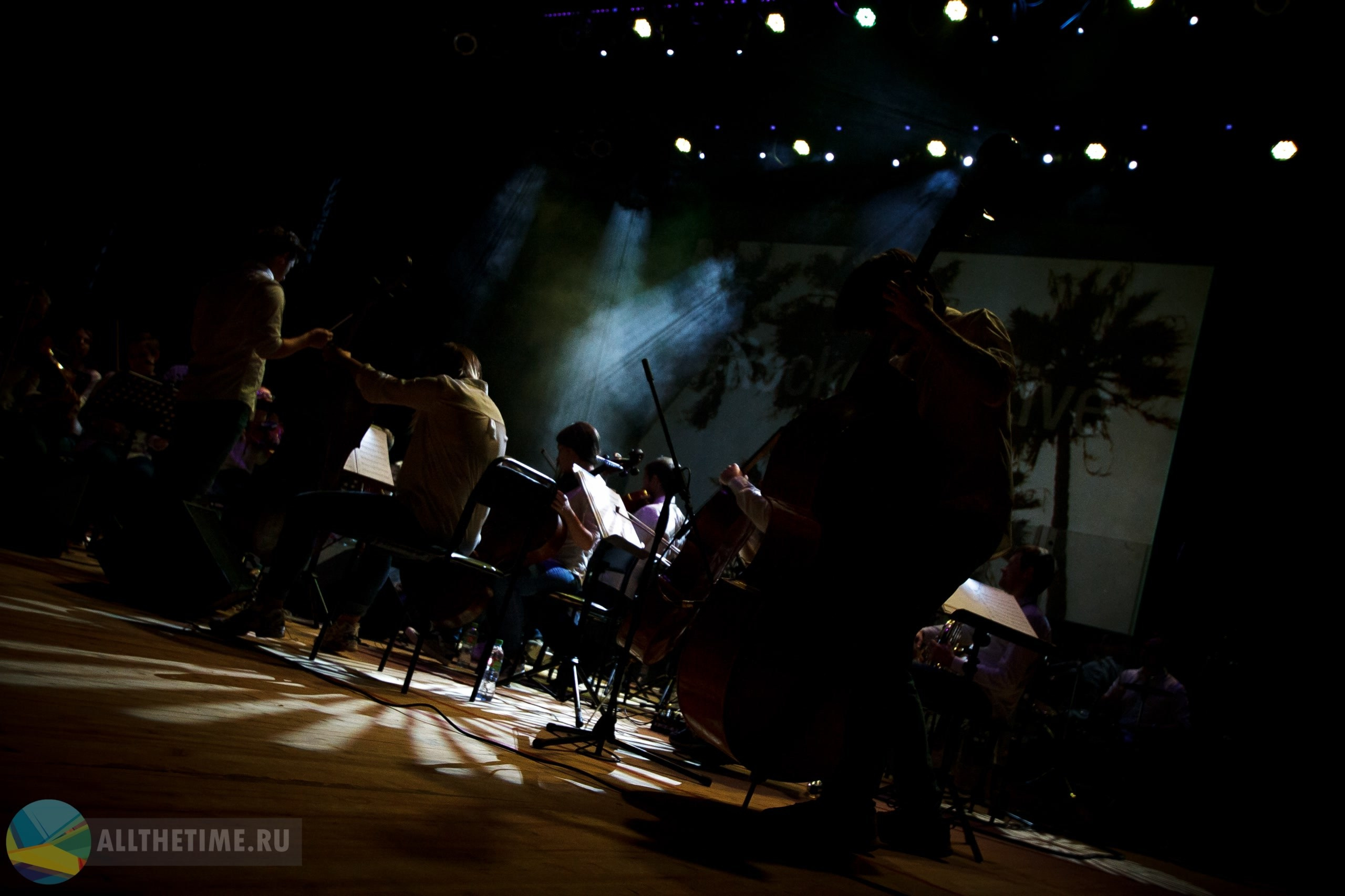 RockestraLive. Магия музыки в кадре: Концертная Фотография