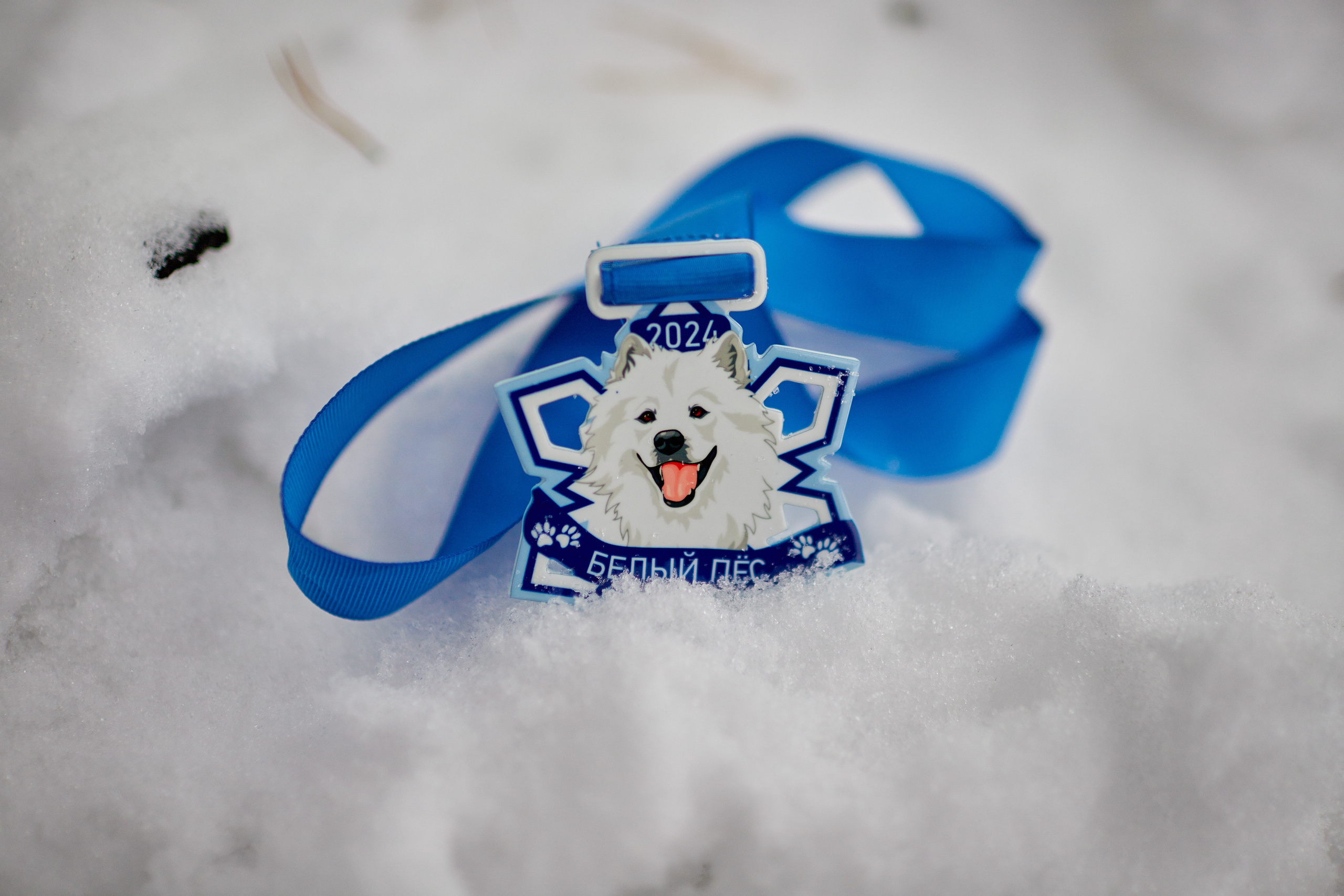 Tyumen Trail (Бег). Портретный и репортажный фотограф в Тюмени | Соколов Дмитрий