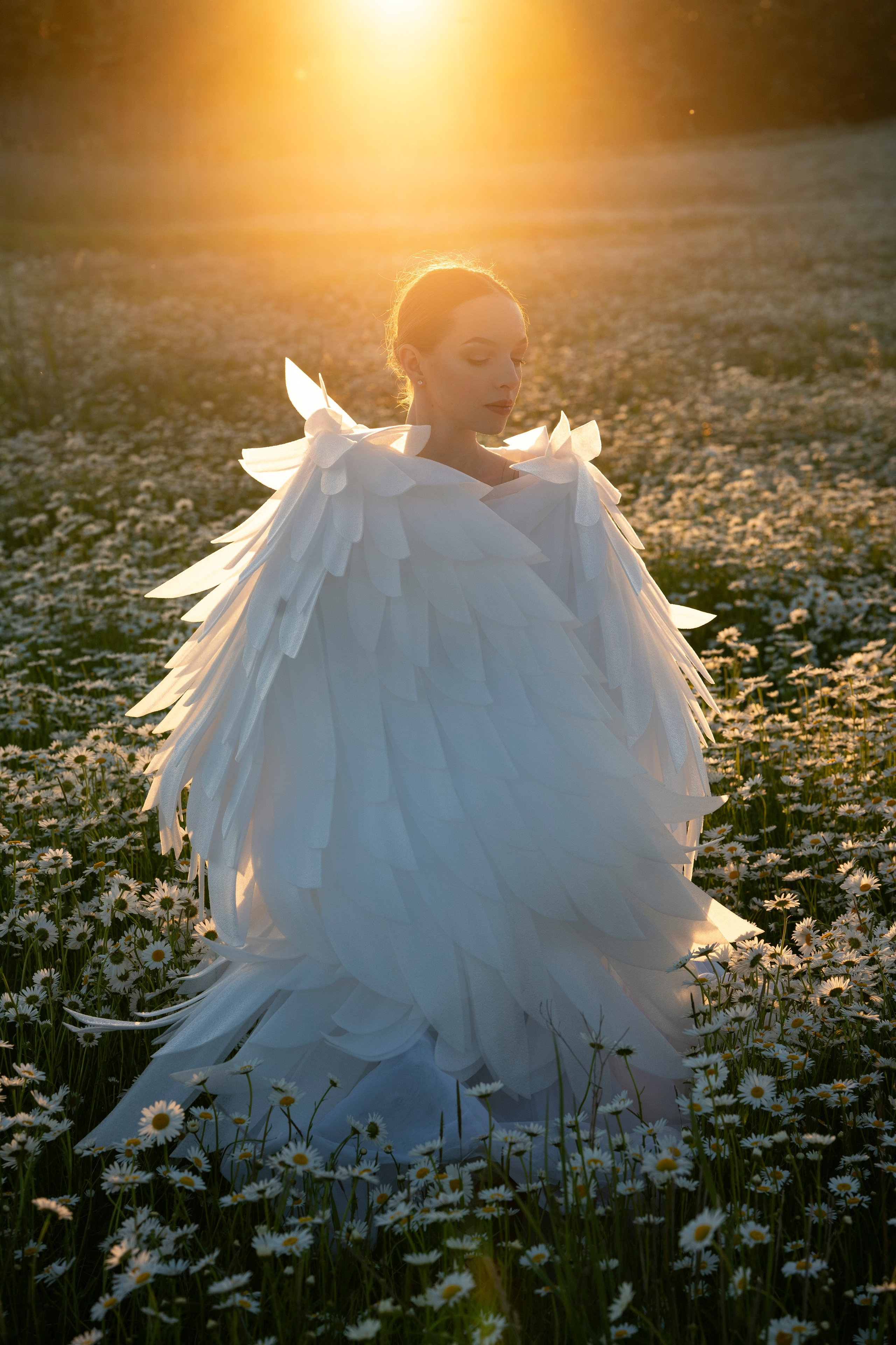 Крылья с подсветкой (3 т р). Фотограф в Крыму Лебедева Александра