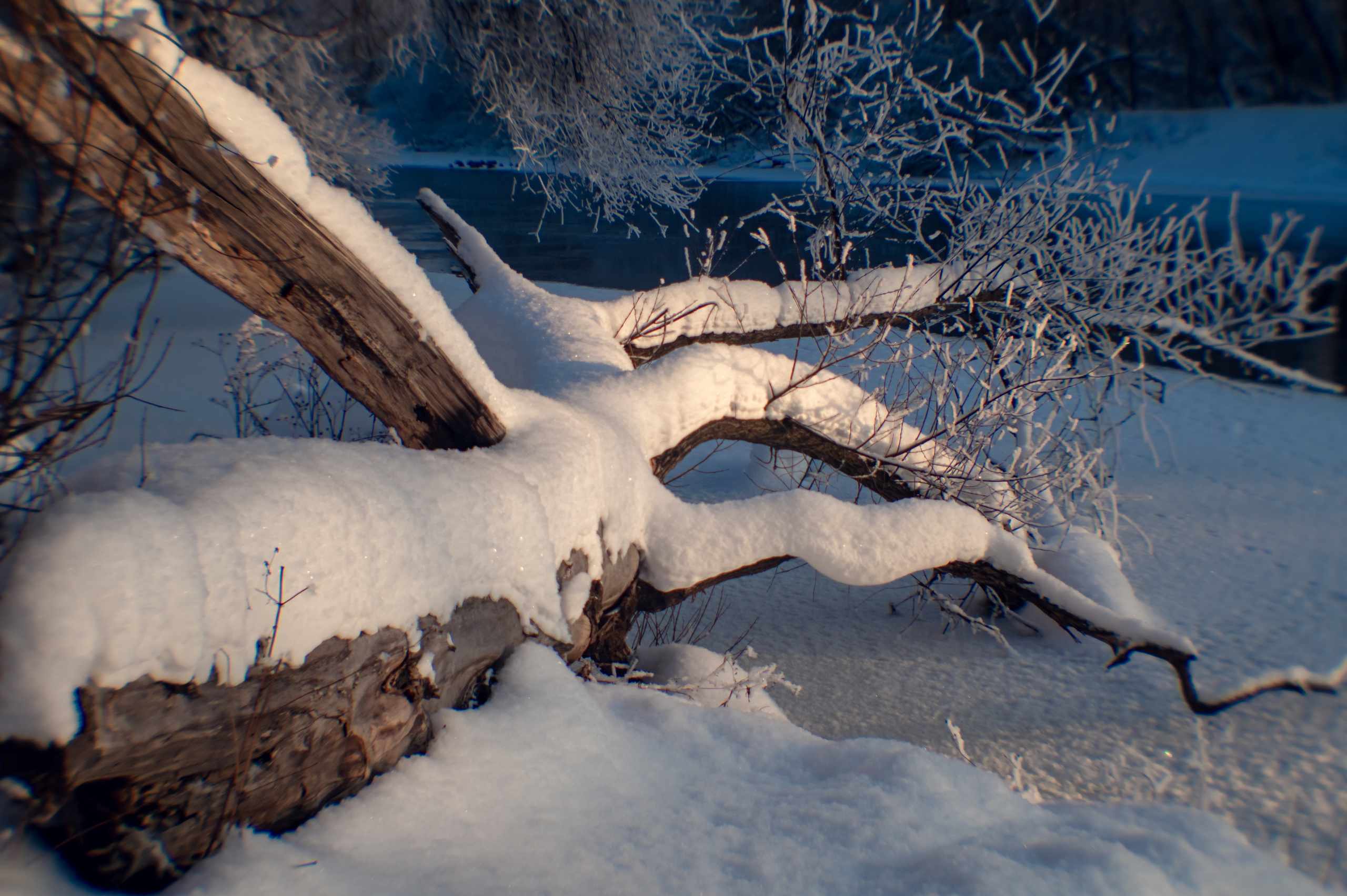 Зимушка зима. Фотограф Крещение Венчание Москва