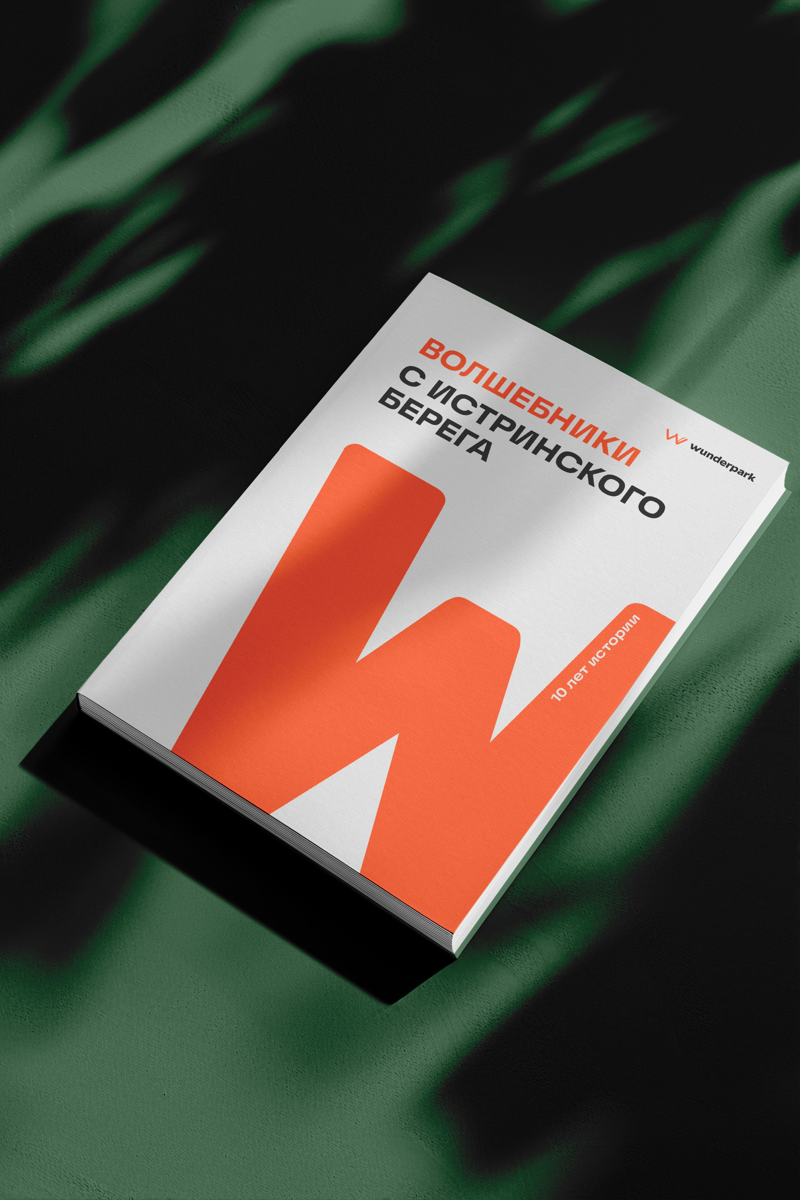 Графический дизайнер Москва