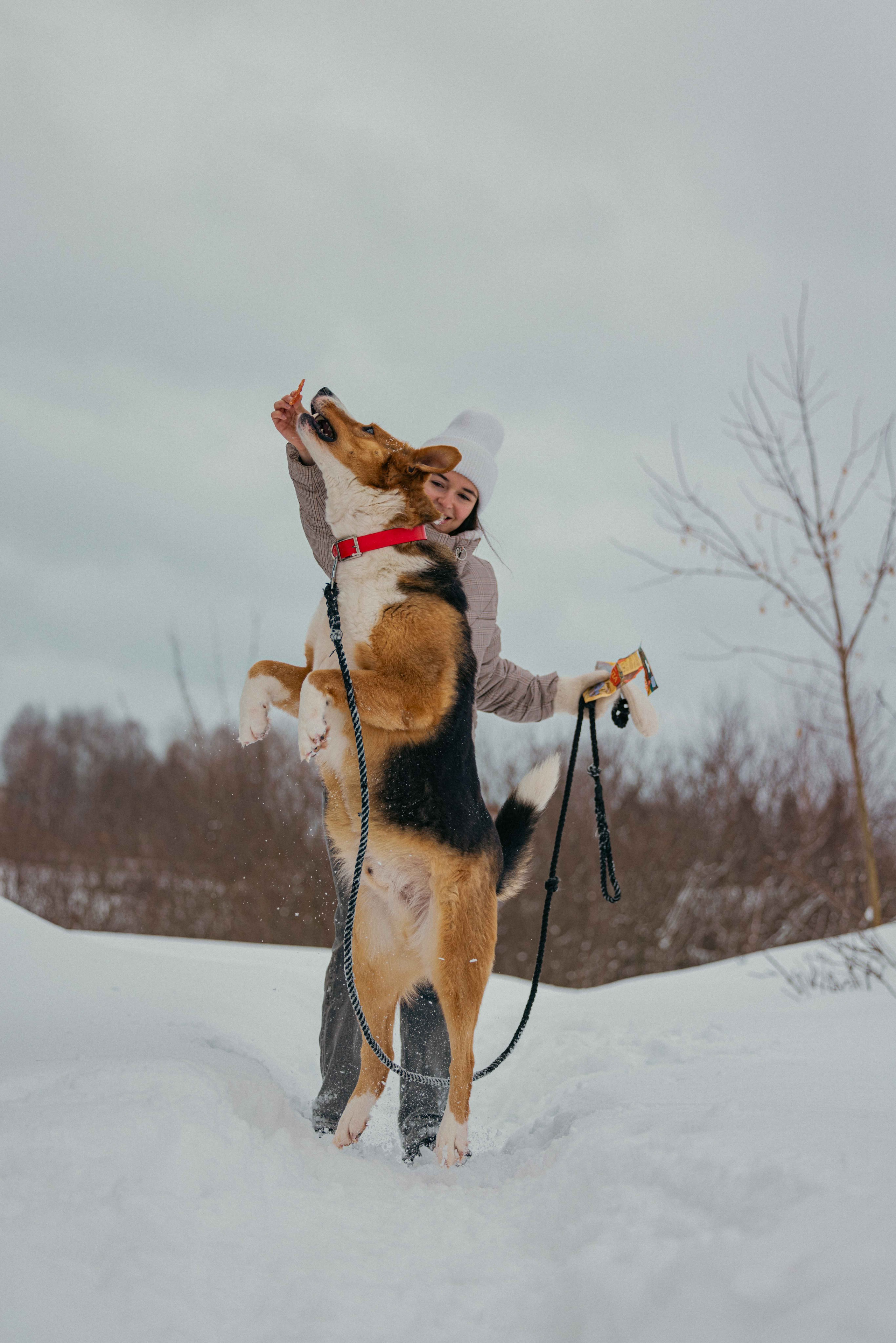 Петя. Фотограф-анималист в Москве Лера Черноног