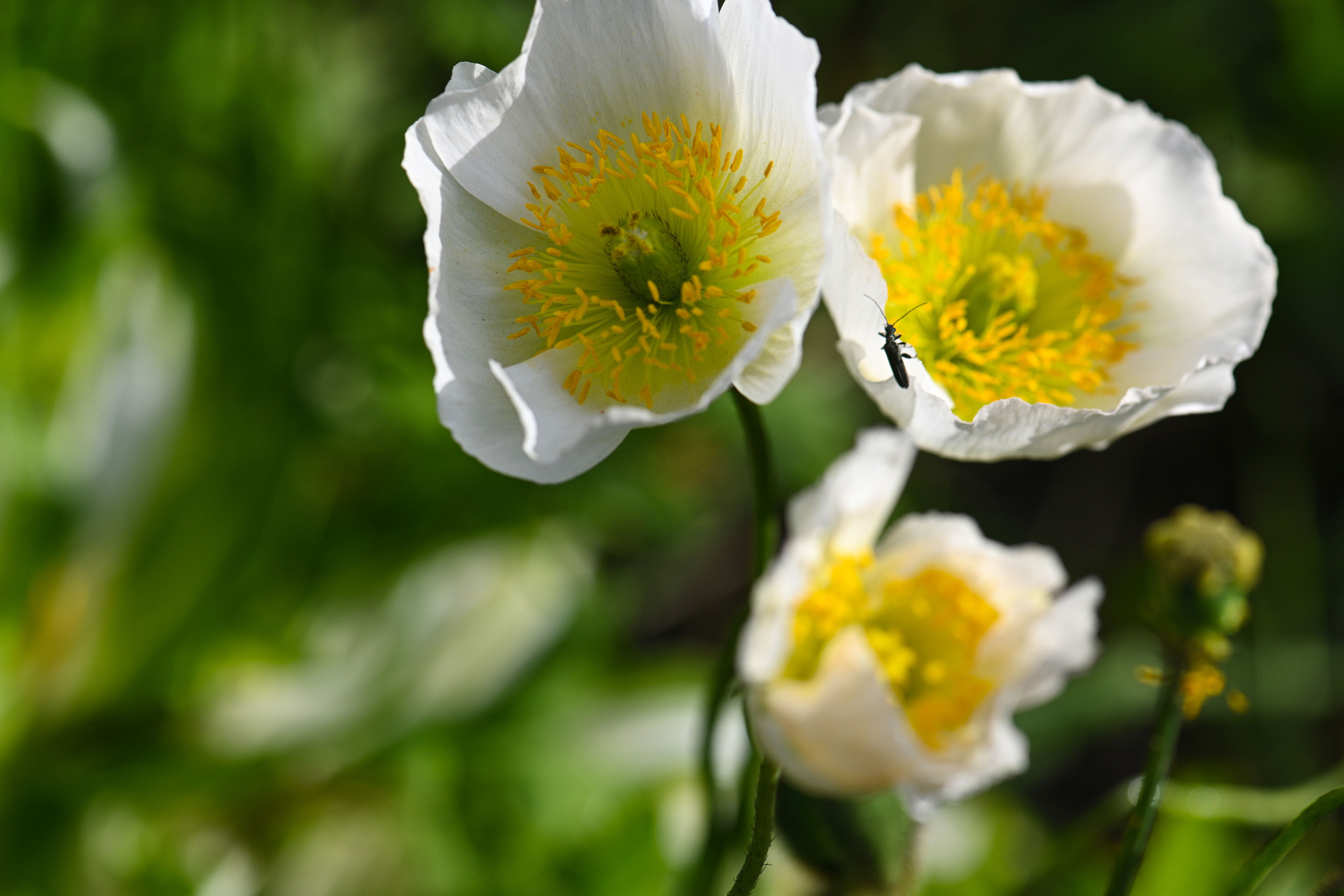 Главная. Сайт наполняется, скоро открытие…