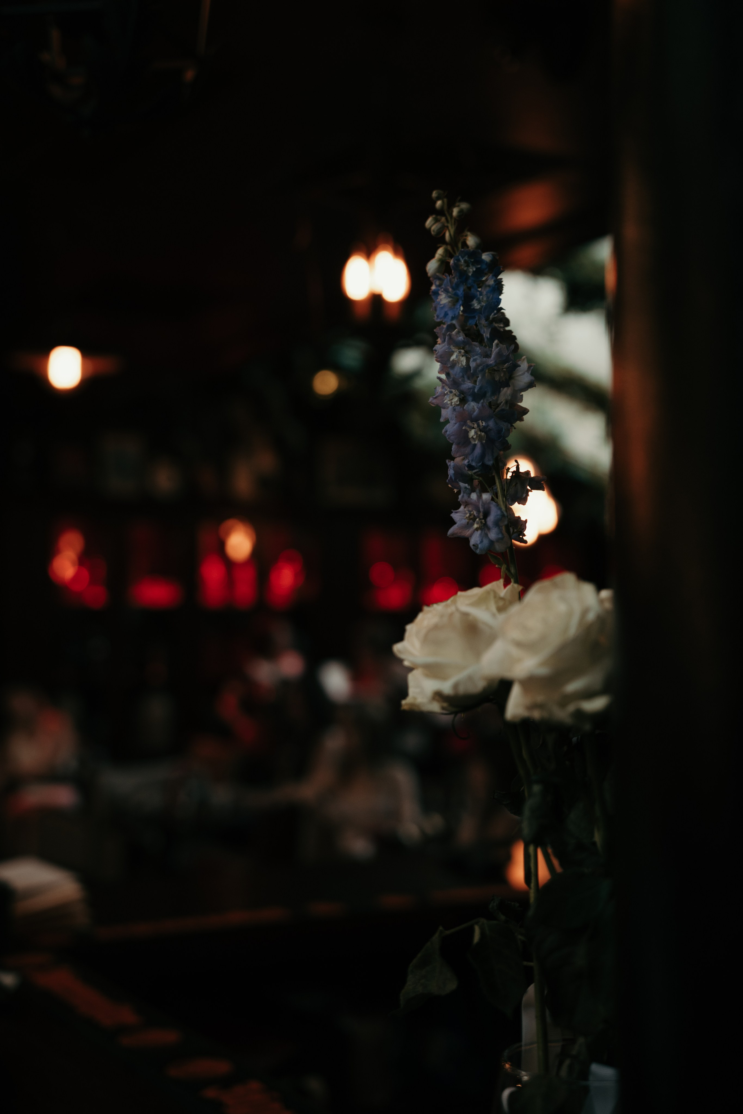 Джазовый вечер. Фотограф и видеограф Мария Банщикова, Солнечногорск, Москва