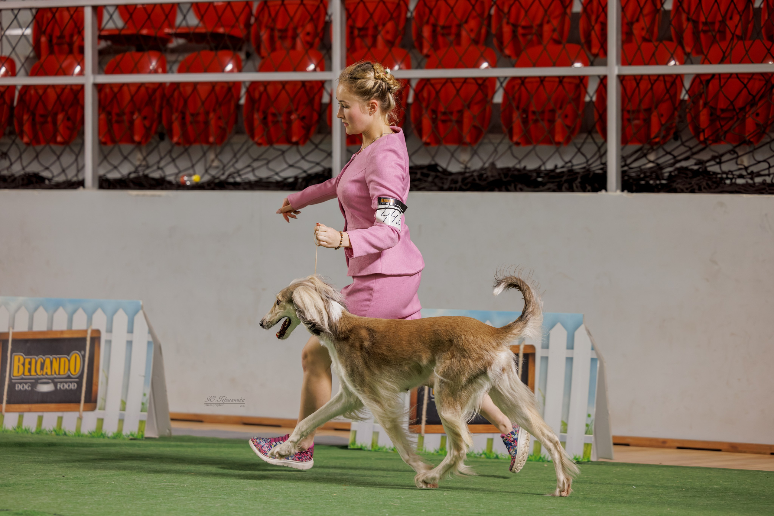 Телави 11-12.10.2025. Фотограф-анималист Юлия Германика