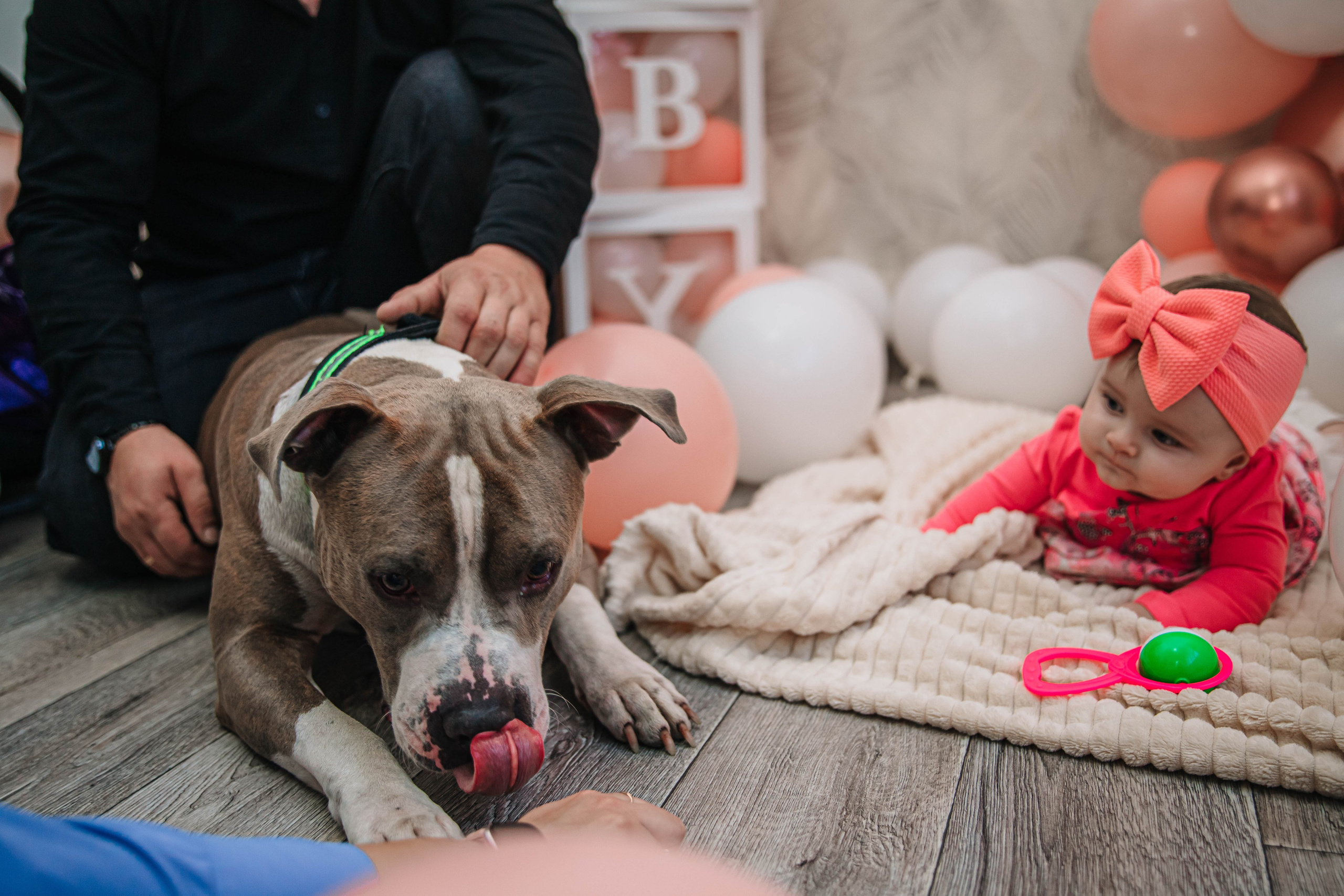 Виталине пол годика!. Фотограф Дарья Маташкова