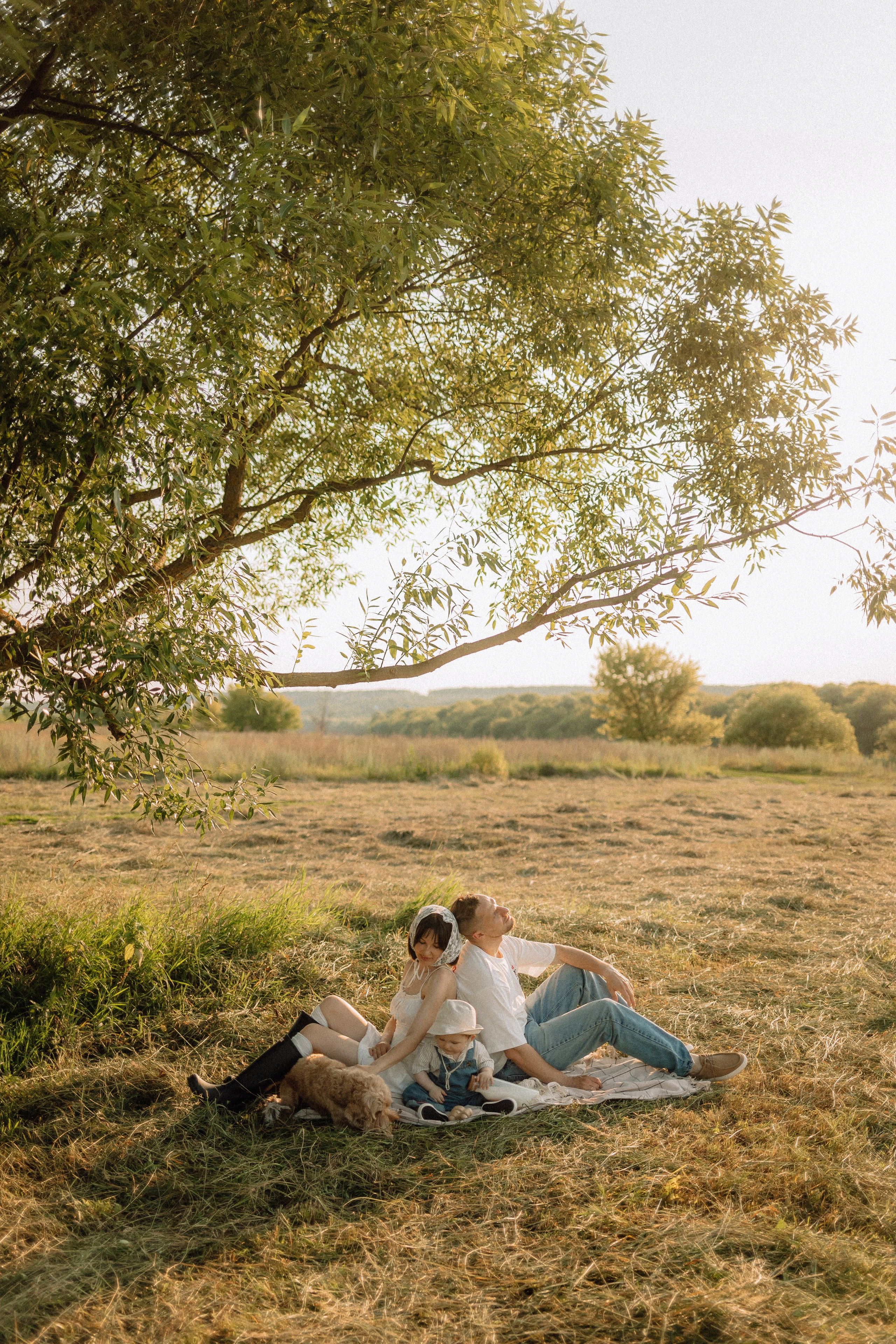 Теплым вечером