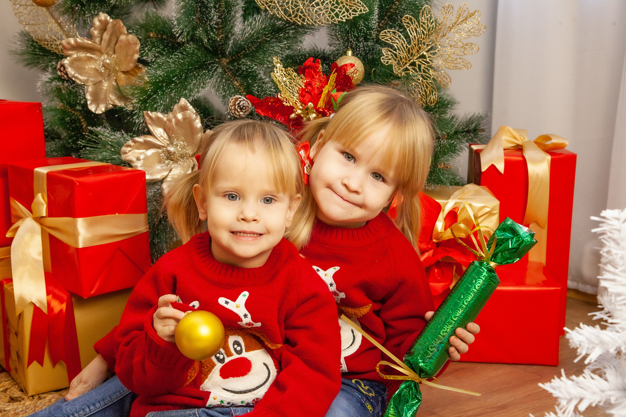 Новый год. Фотограф в Сергиевске Григорян Ханум