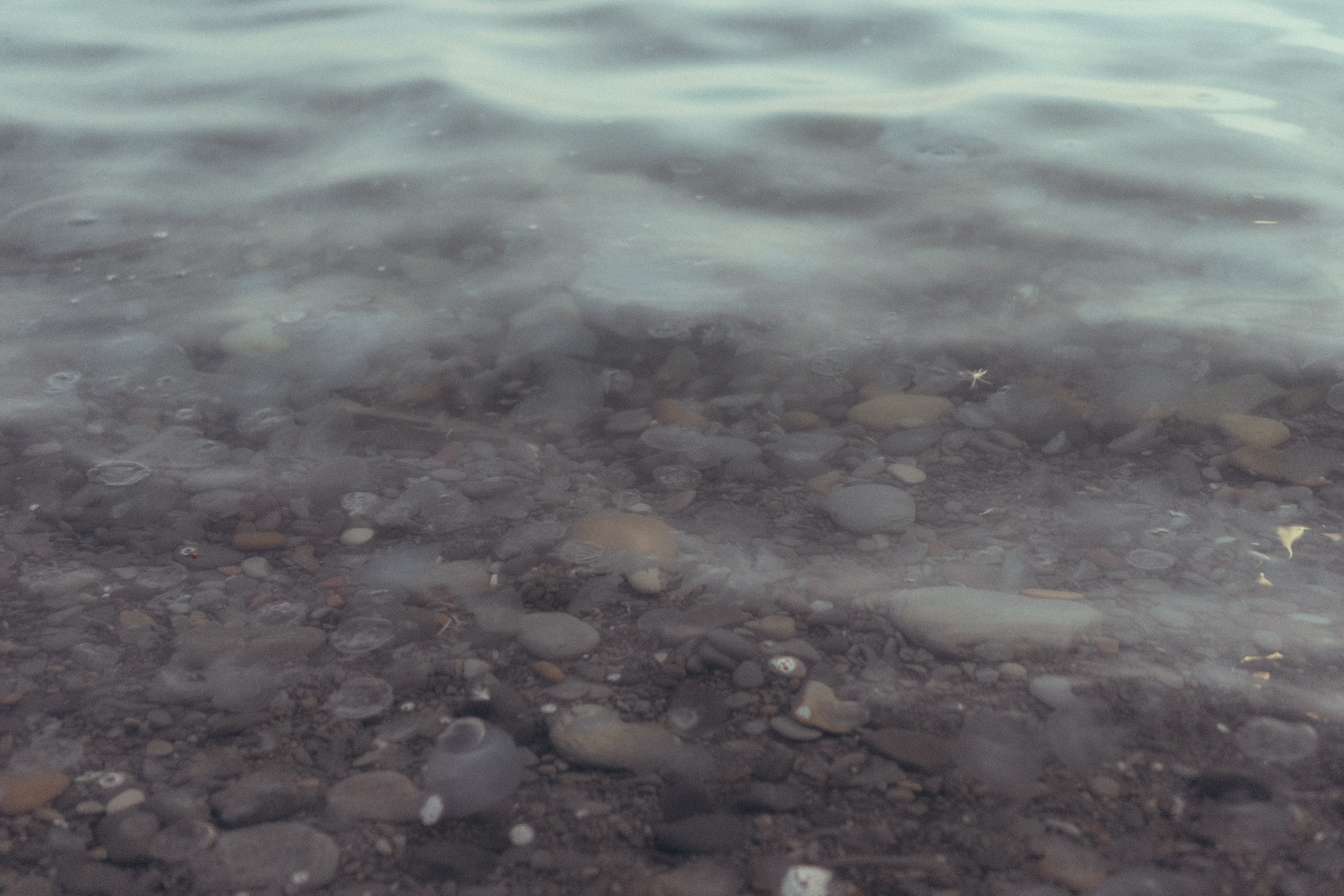Вечерняя прогулка по Анапе. Профессиональный фотограф, Санкт-Петербург — Виктория Богомолова