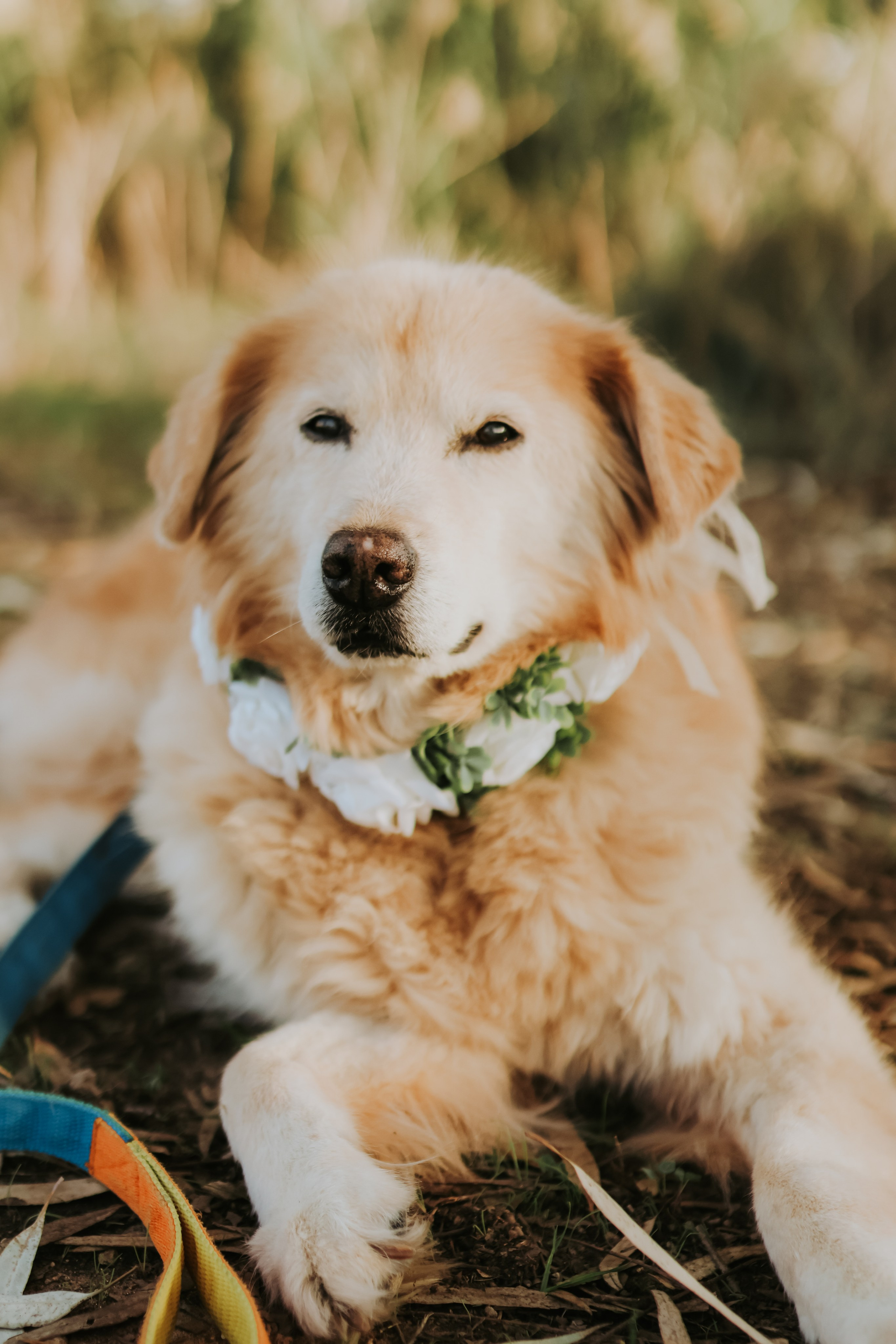 Sabrina's family, Tel Aviv | November 2025. Photographer in Israel Alice Milchin