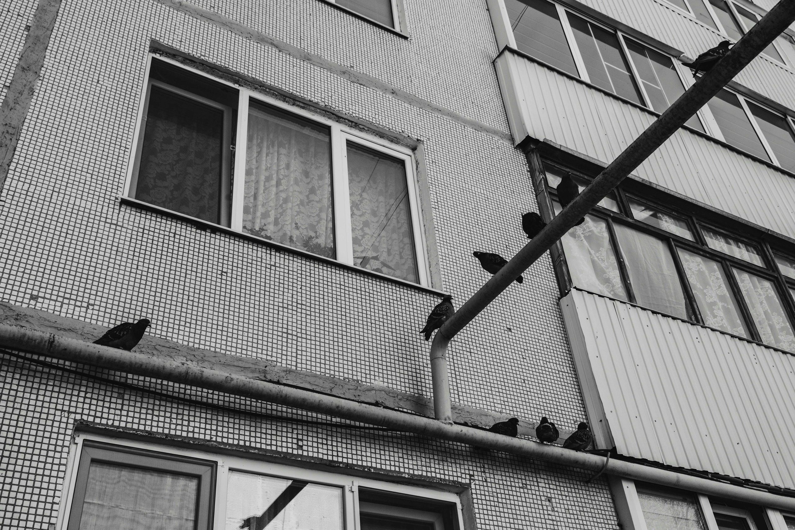 Жигулевск | май 2026. Фотограф в Москве | Диана Киселева