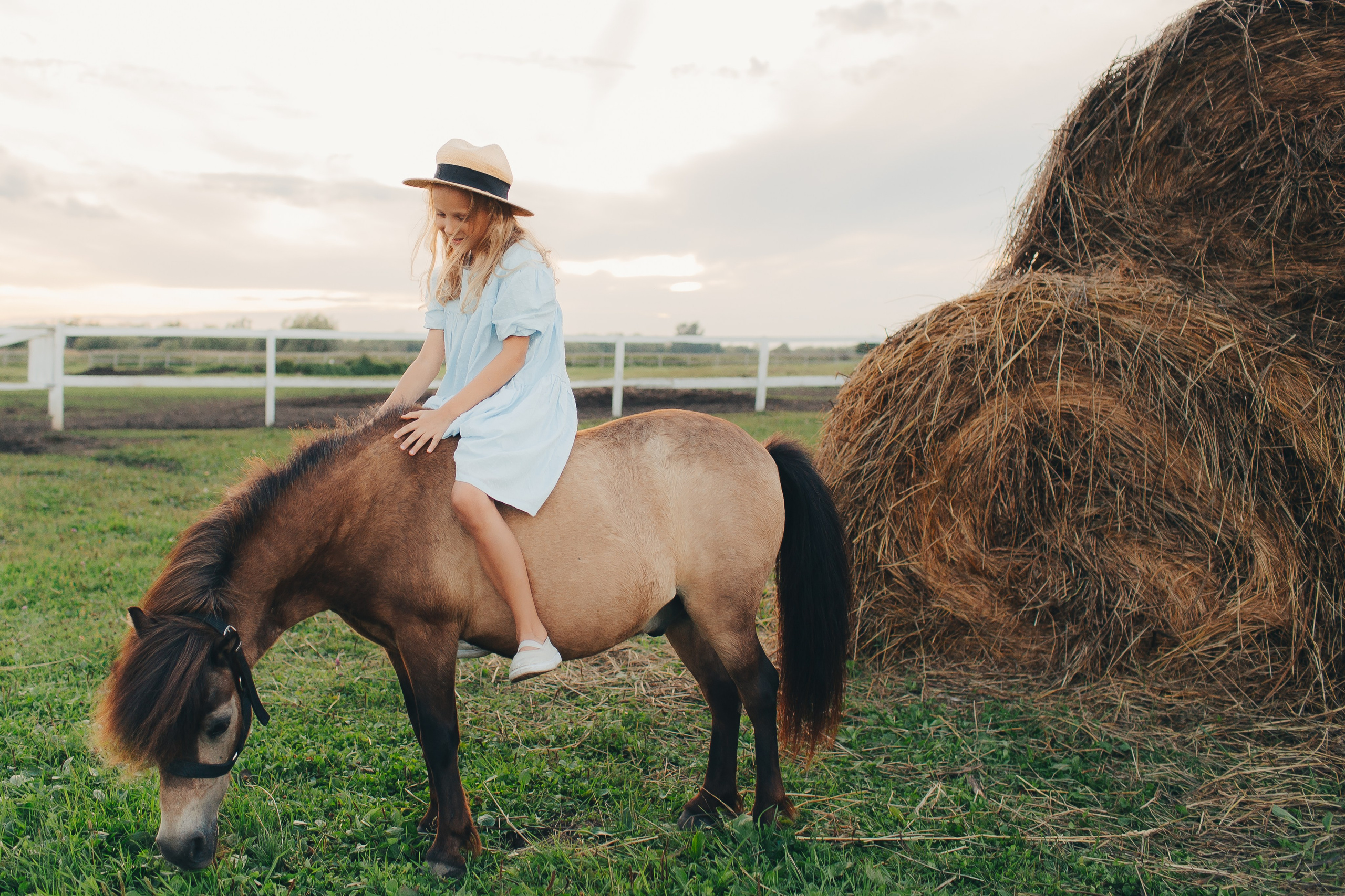 Фотосессия с пони. Фотограф Евгения Мальцева, Архангельск