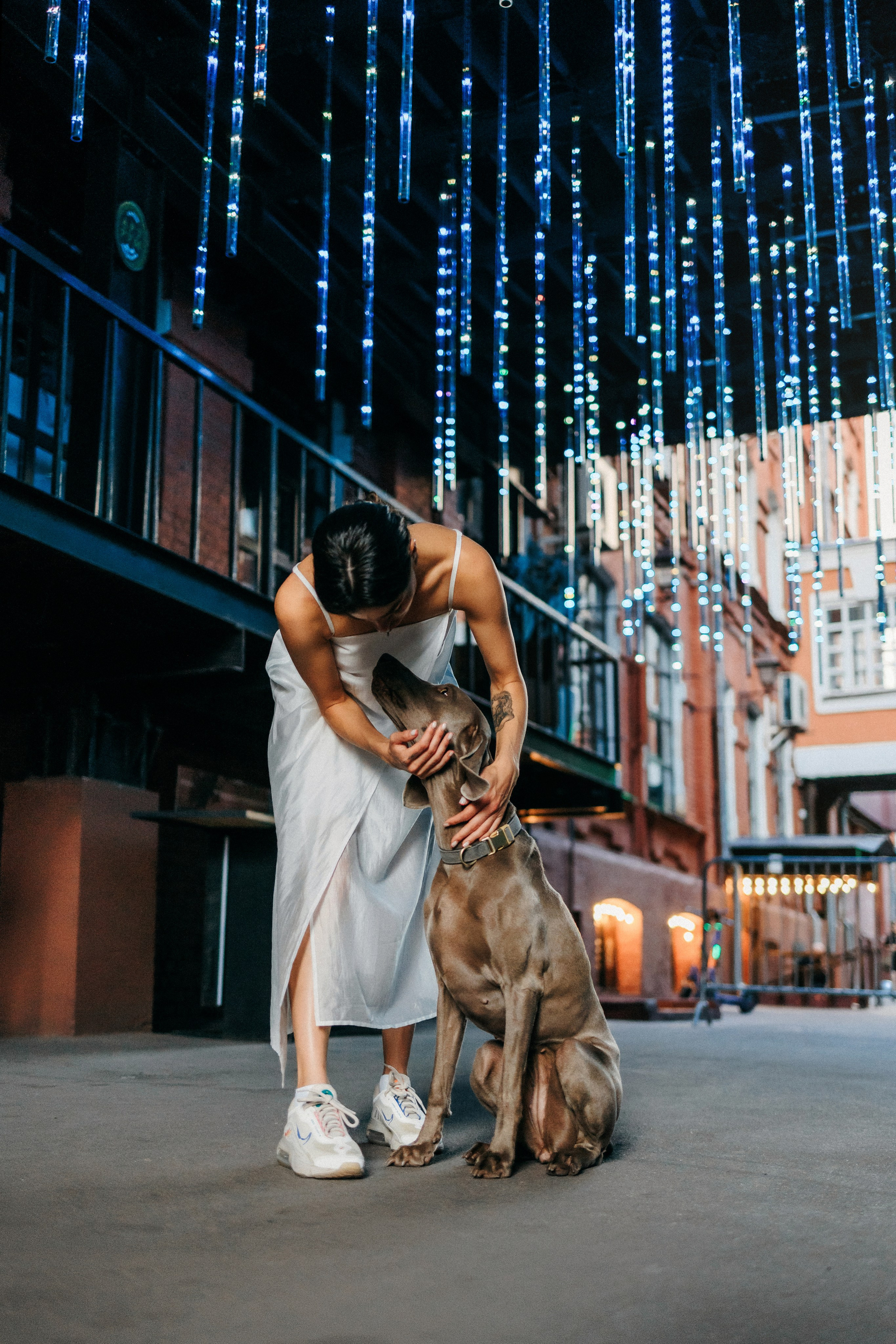 Соня и Майли. Фотограф-анималист Елена Радченко, Москва