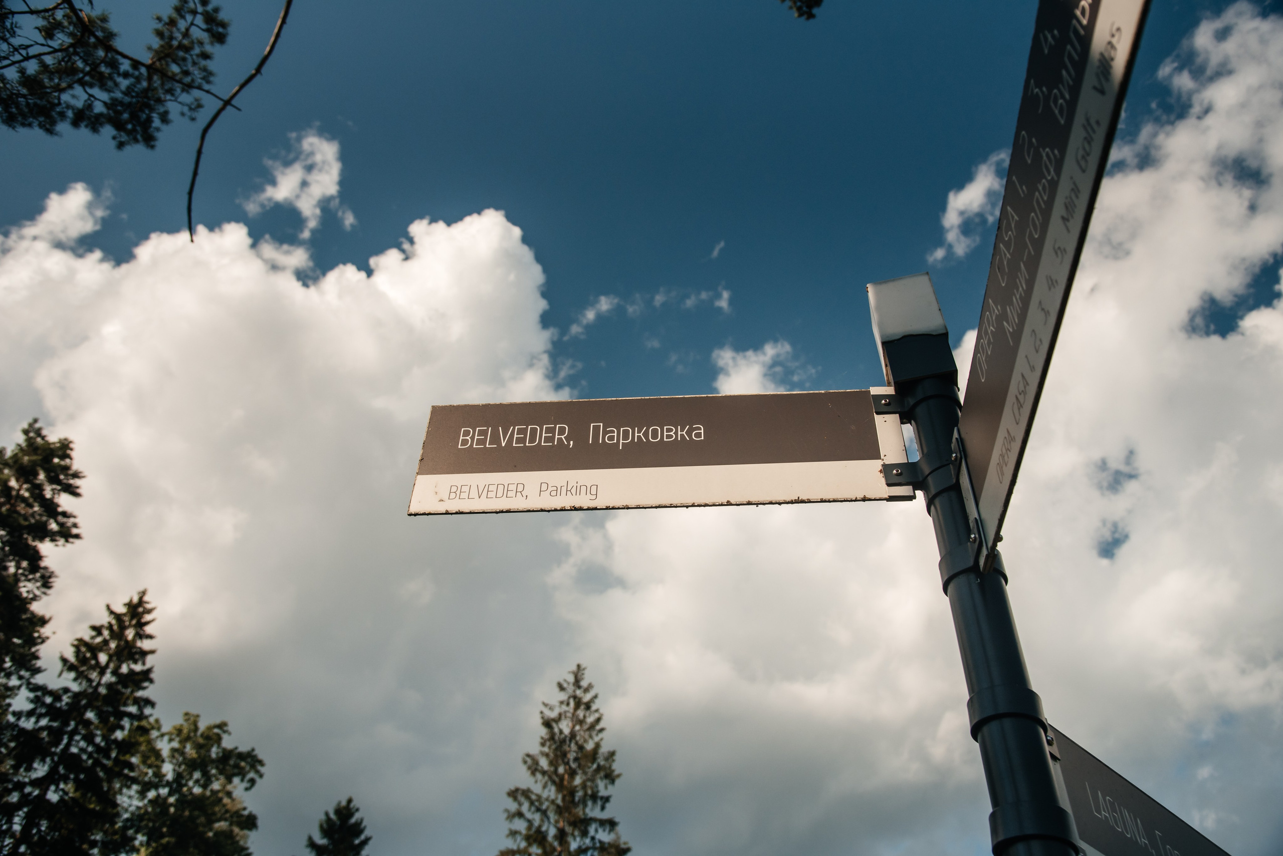 Денис и Ирина. Фотограф в Москве Елена Брюханова