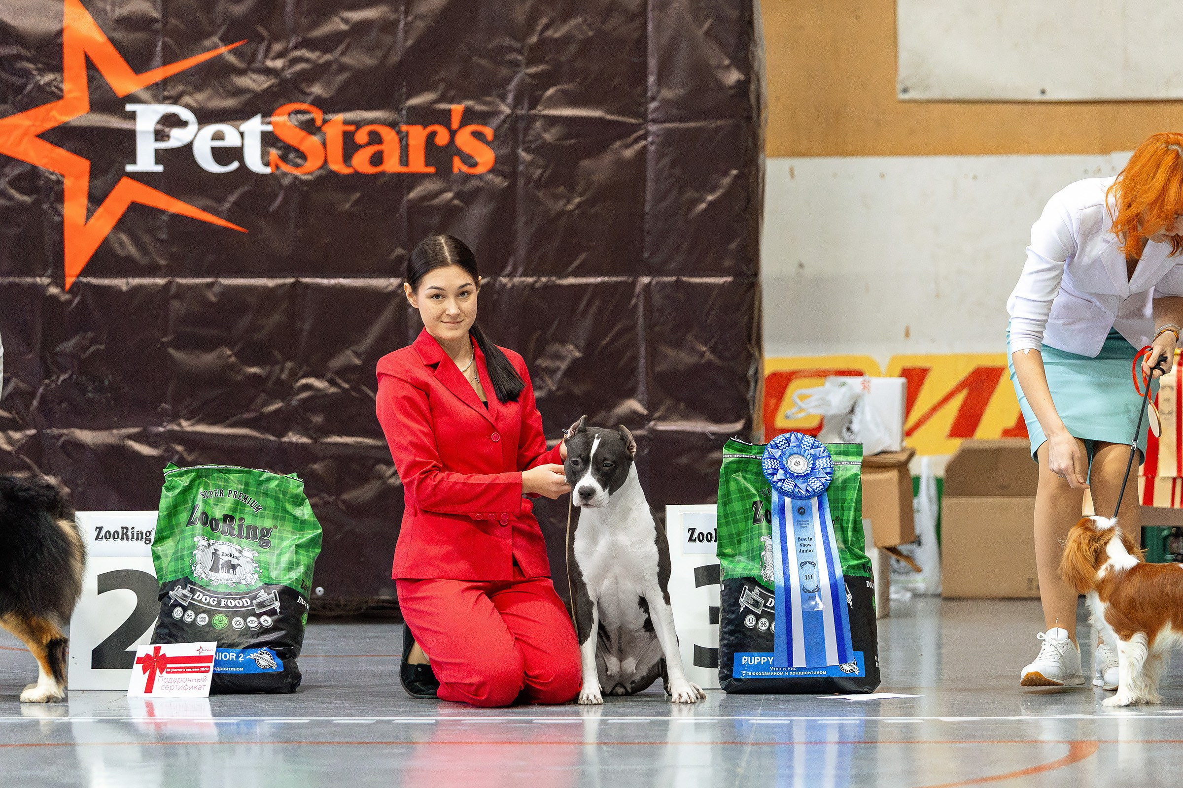 23 ноября 2024, Выставка РКФ, г. Пермь. Htykk_photo