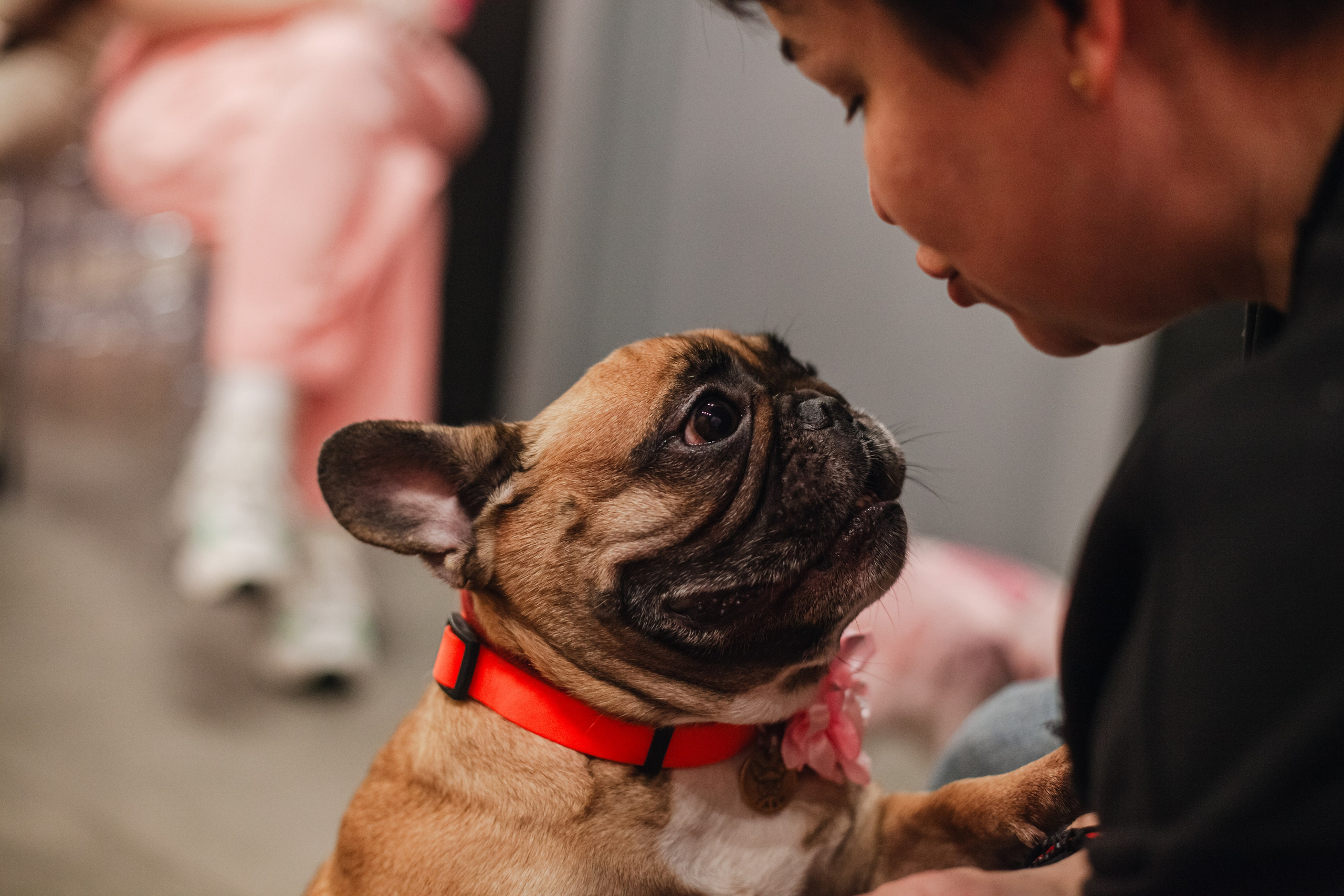 Бульёлка 2024. Фотограф-анималист Татьяна Степанова