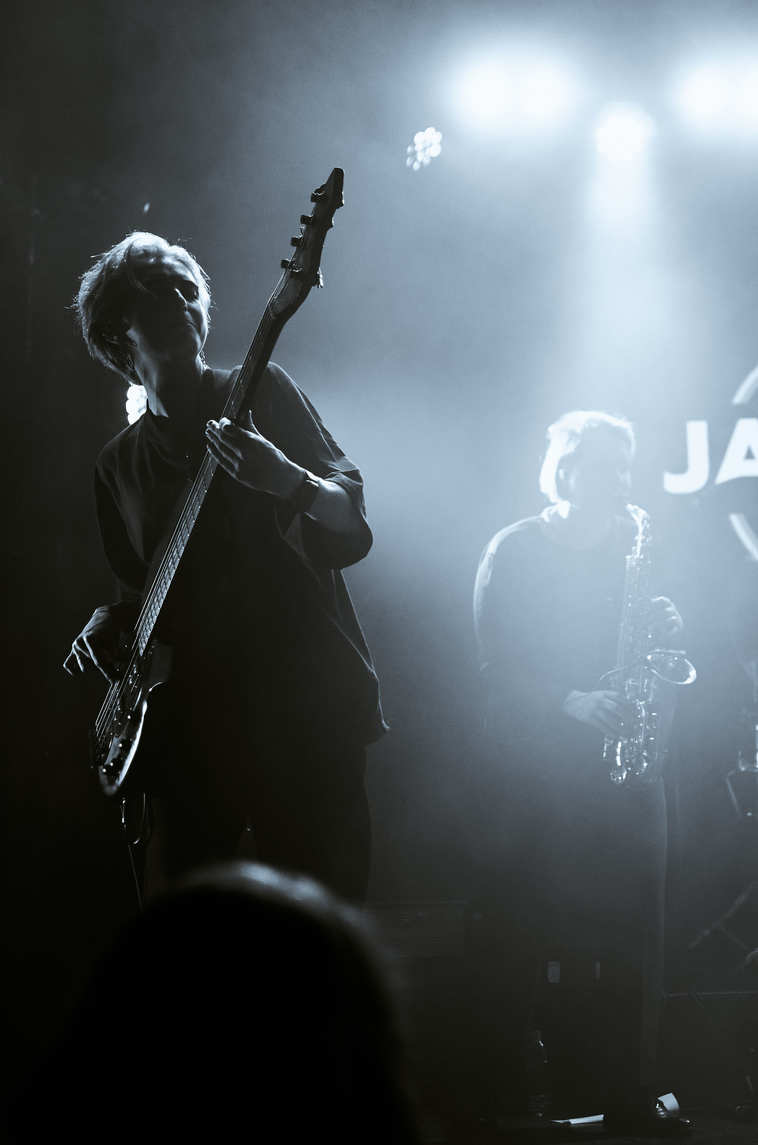 Концертные фото. Wirinsens