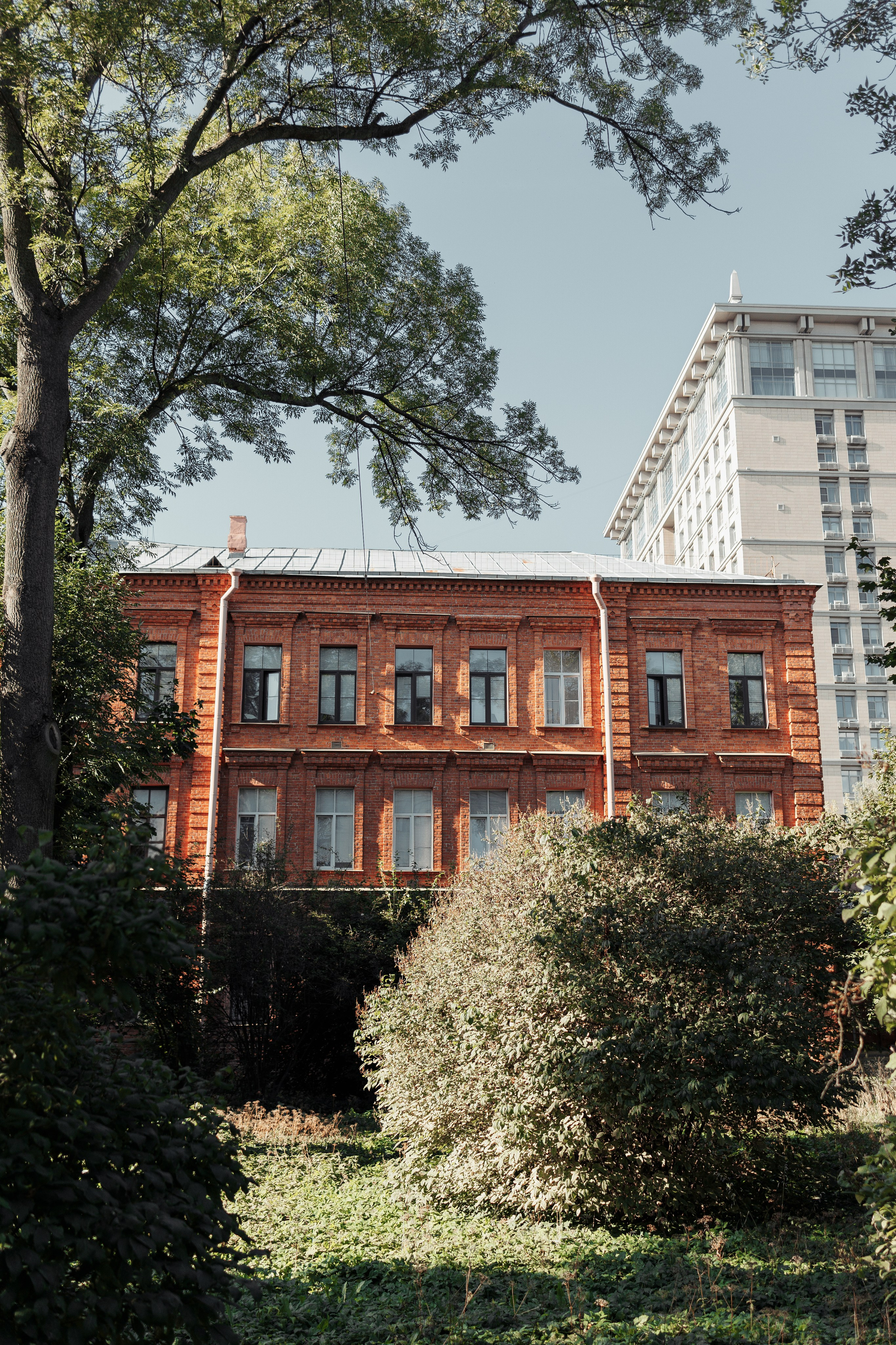 Street photo. Photographer in Turkey — Dari N