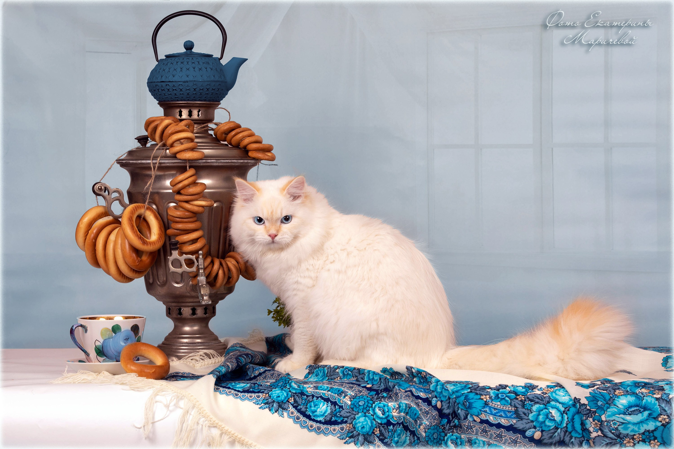 Тематические фоны с рисунком. Фотограф-анималист в Омске Екатерина Маричева