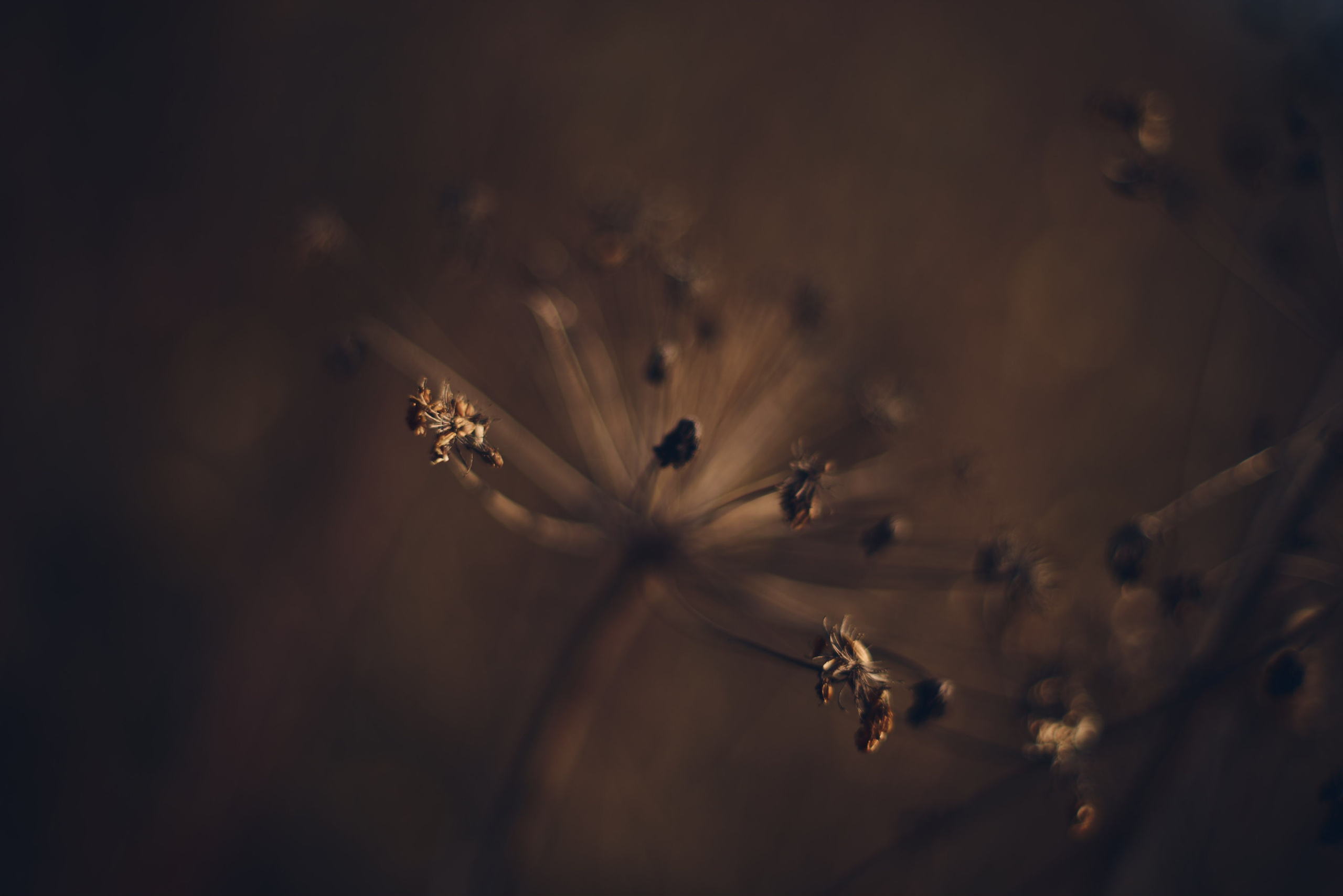 Осенние пейзажи Никола-Ленивца