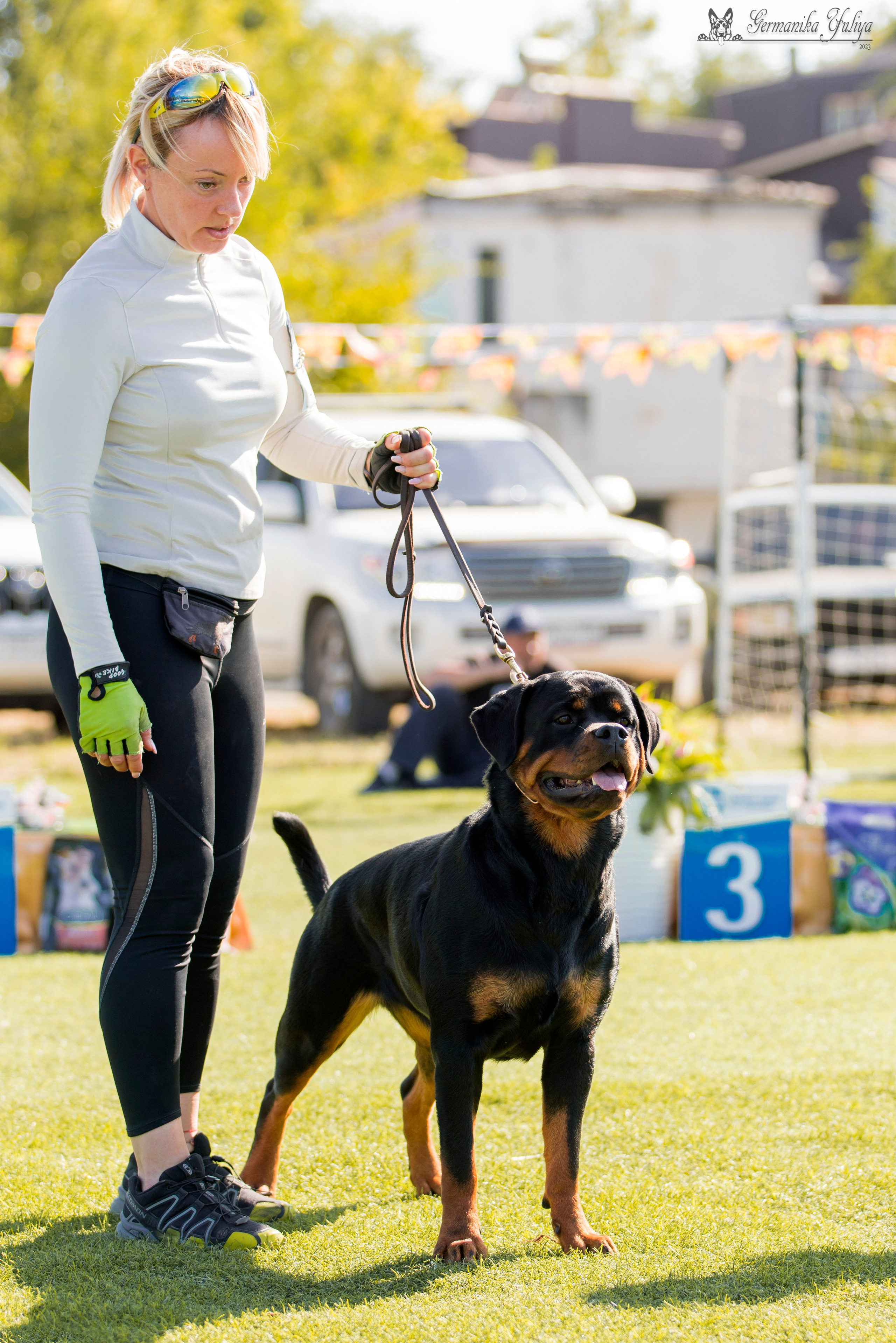 Анапа 16-17.09.2023 моно ротвейлеров. Фотограф-анималист Юлия Германика