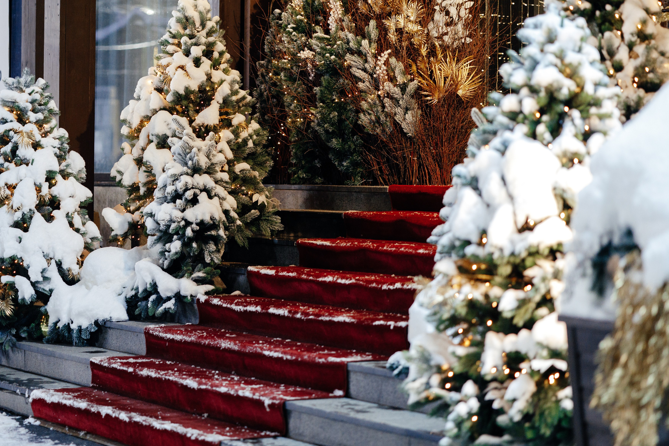 Liana & Eric. Фотограф в Москве Алексей Виноградов