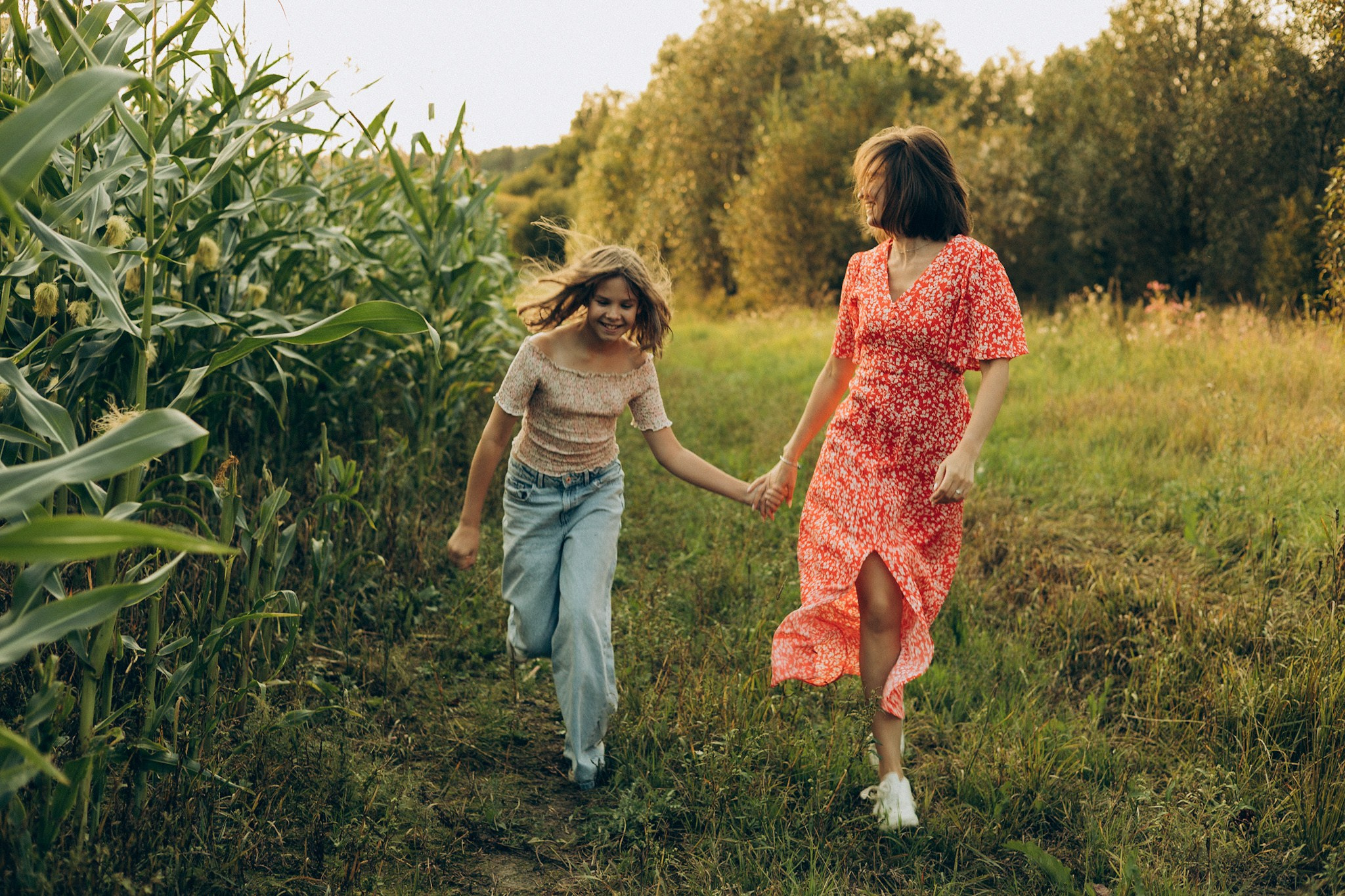 В кукурузе. Главная