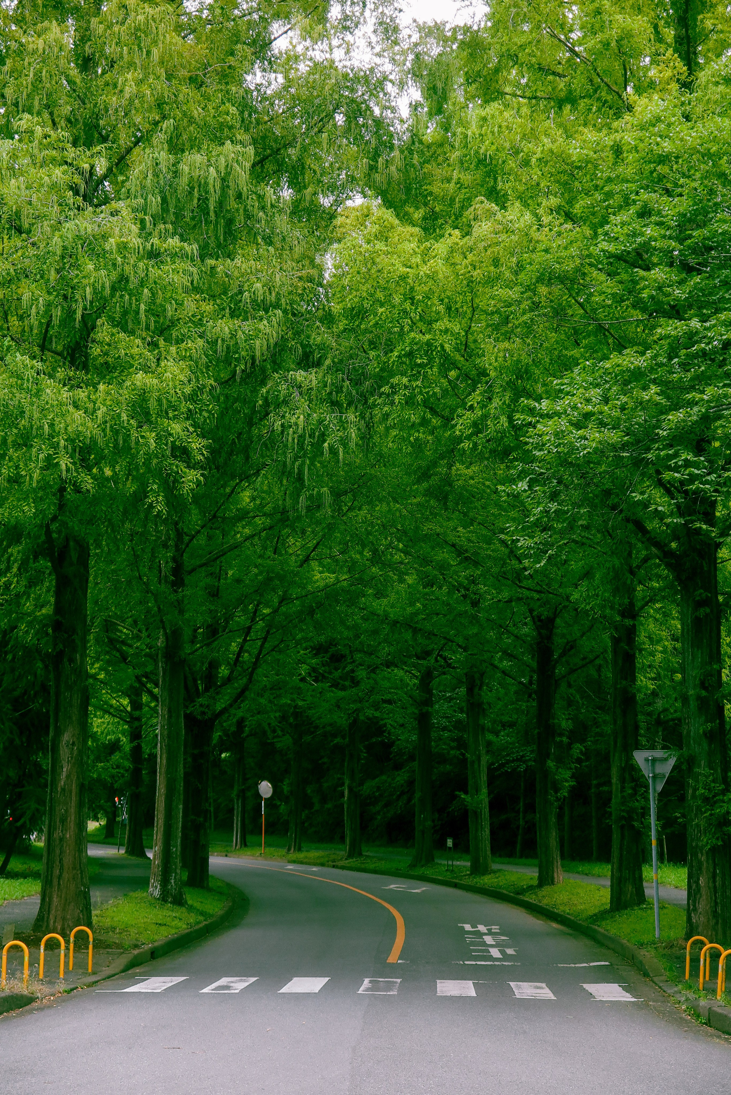 日本. Фотограф Москва