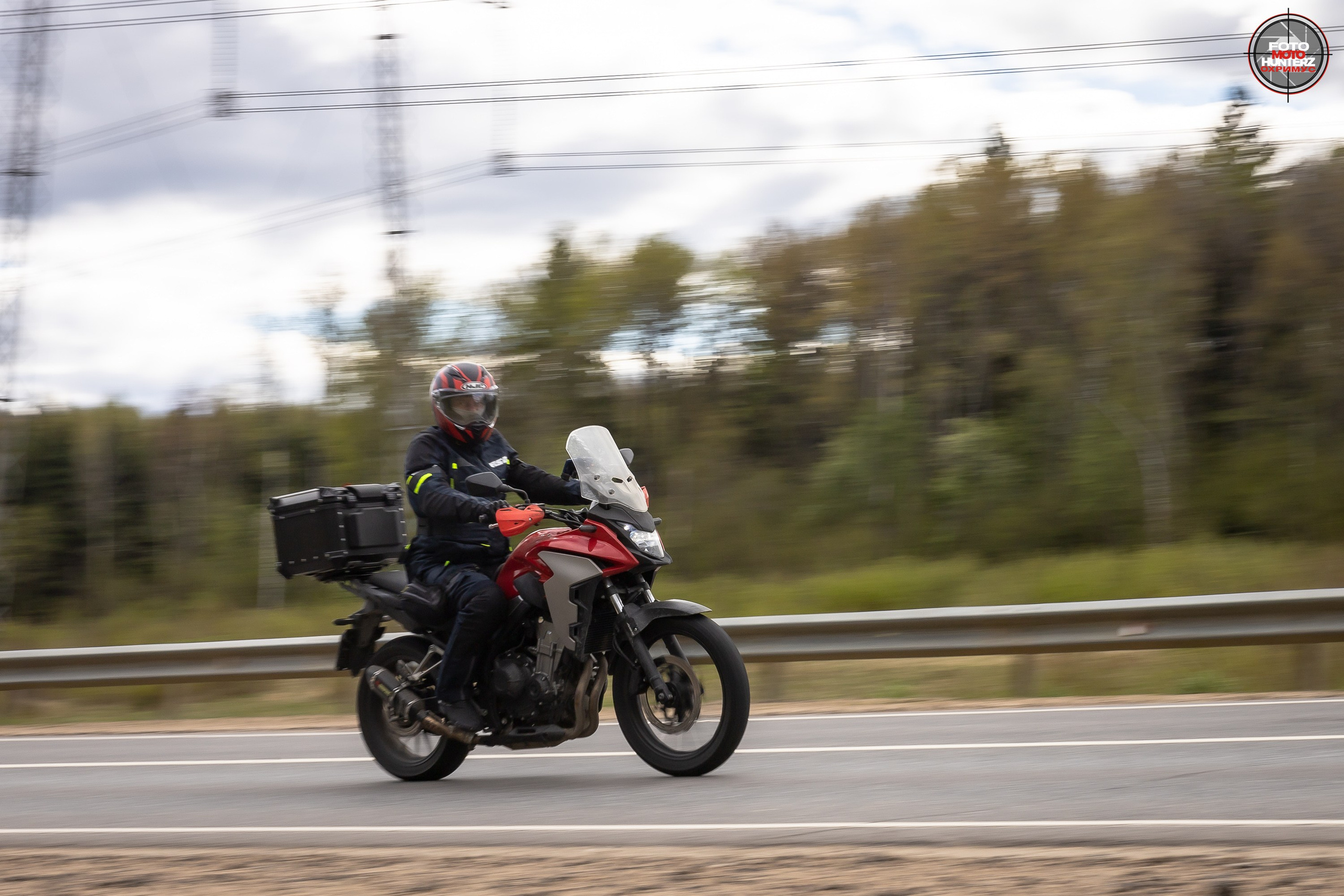 Первое Сафари в 2025 г. на Рогачевском ш. Фотограф Владимир Охрименко