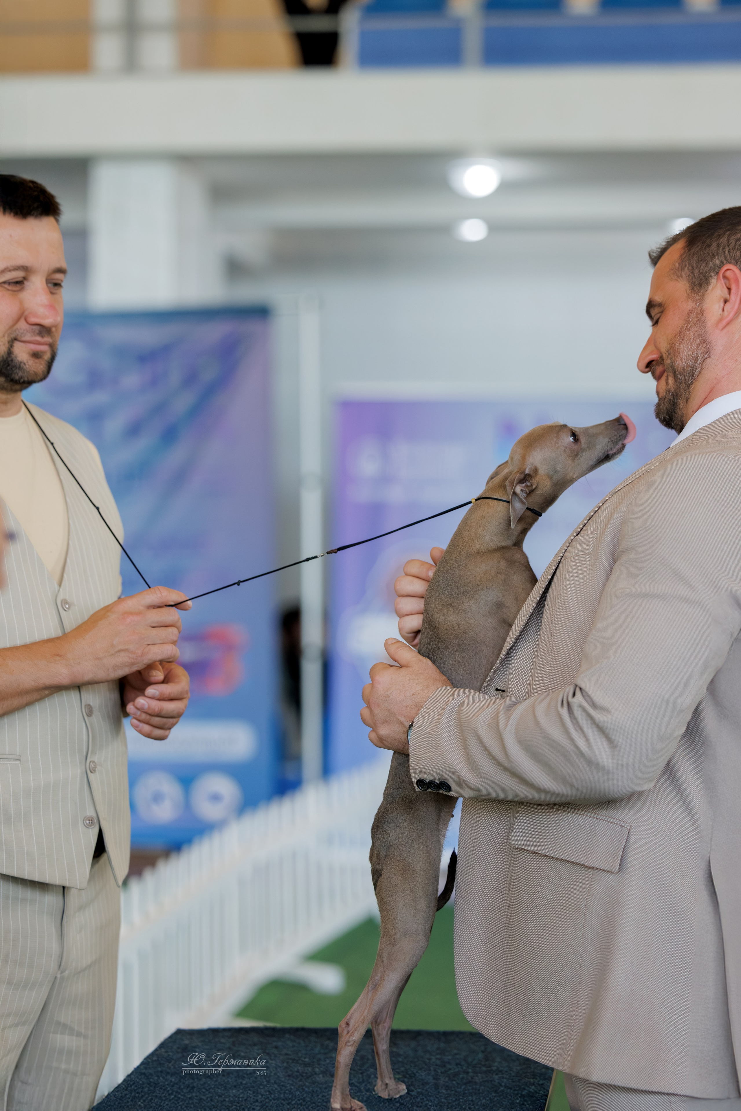 Батуми 3хCACIB 27-29.06.2025. Фотограф-анималист Юлия Германика