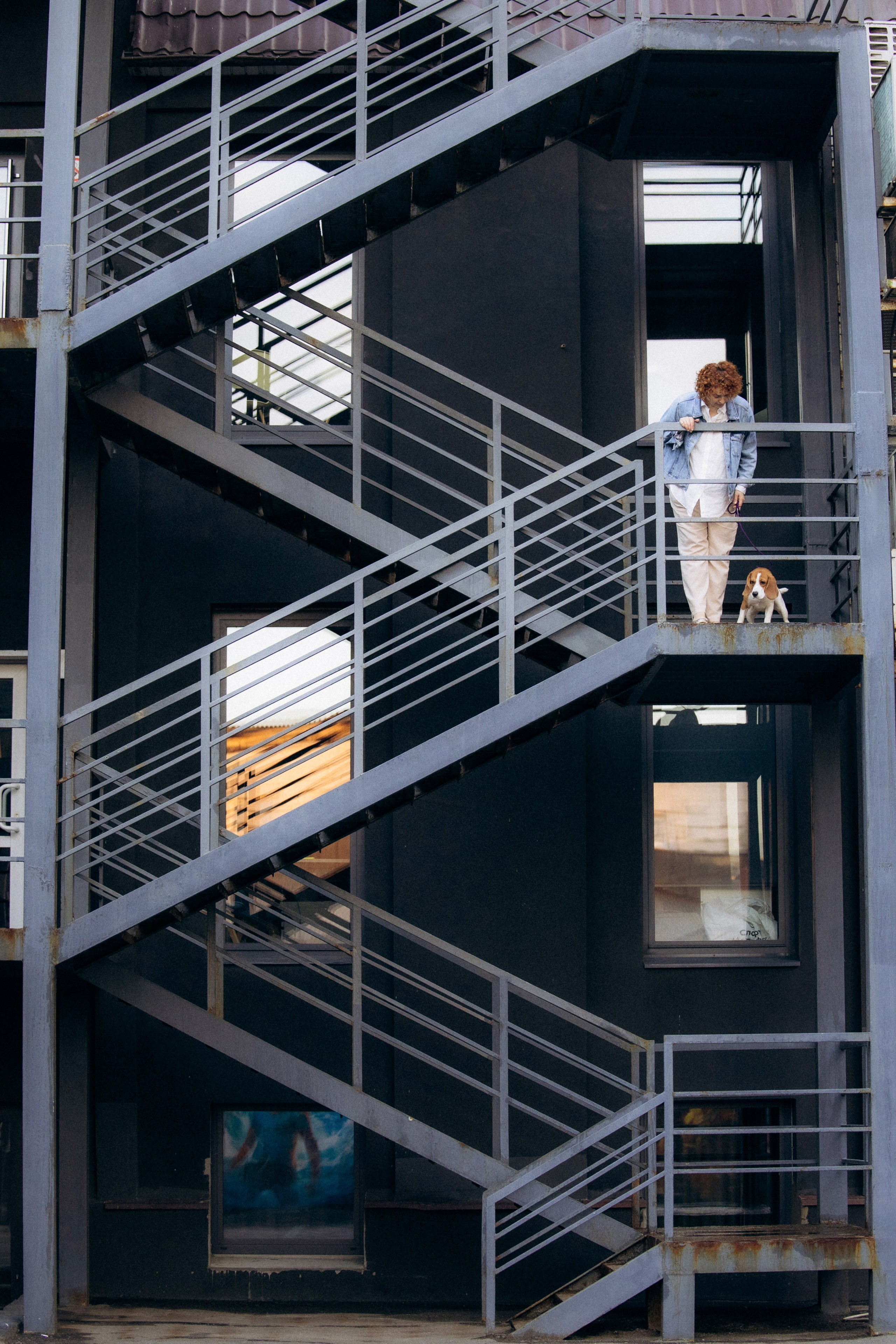 Анна и Рэна. Рассвет в Москве. Фотограф анималист в Казани Алина Сулейманова. Фотограф животных