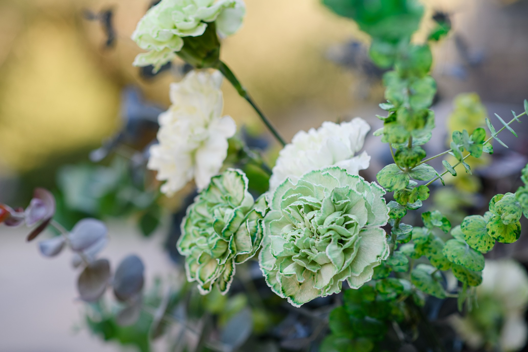 МК от Porolov Цветочная история. Фотограф Илья Ковалев в Волгограде