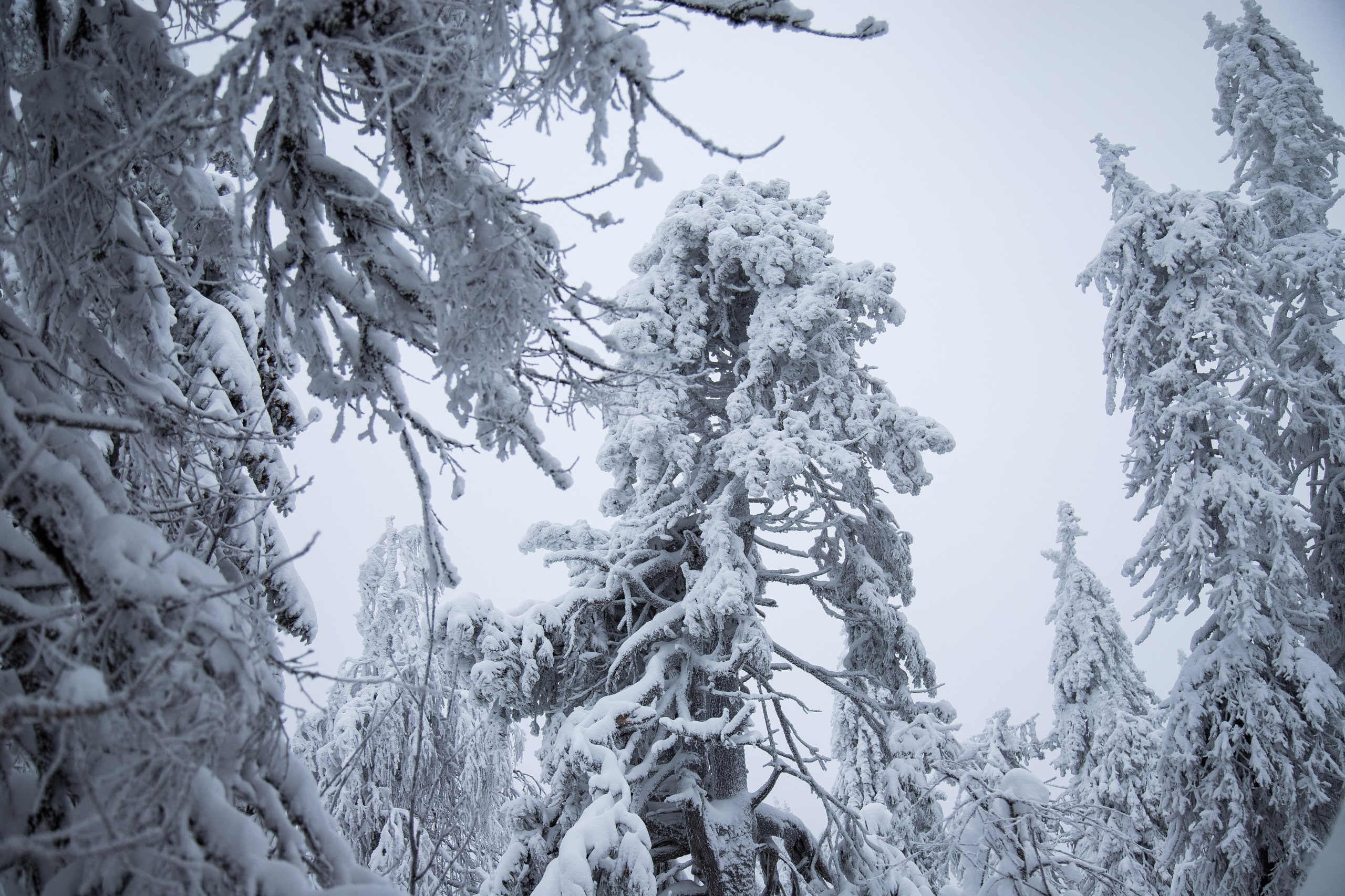 Report: Пермский край зимой. Фотограф в Перми Любовь Огородова | Авторские туры