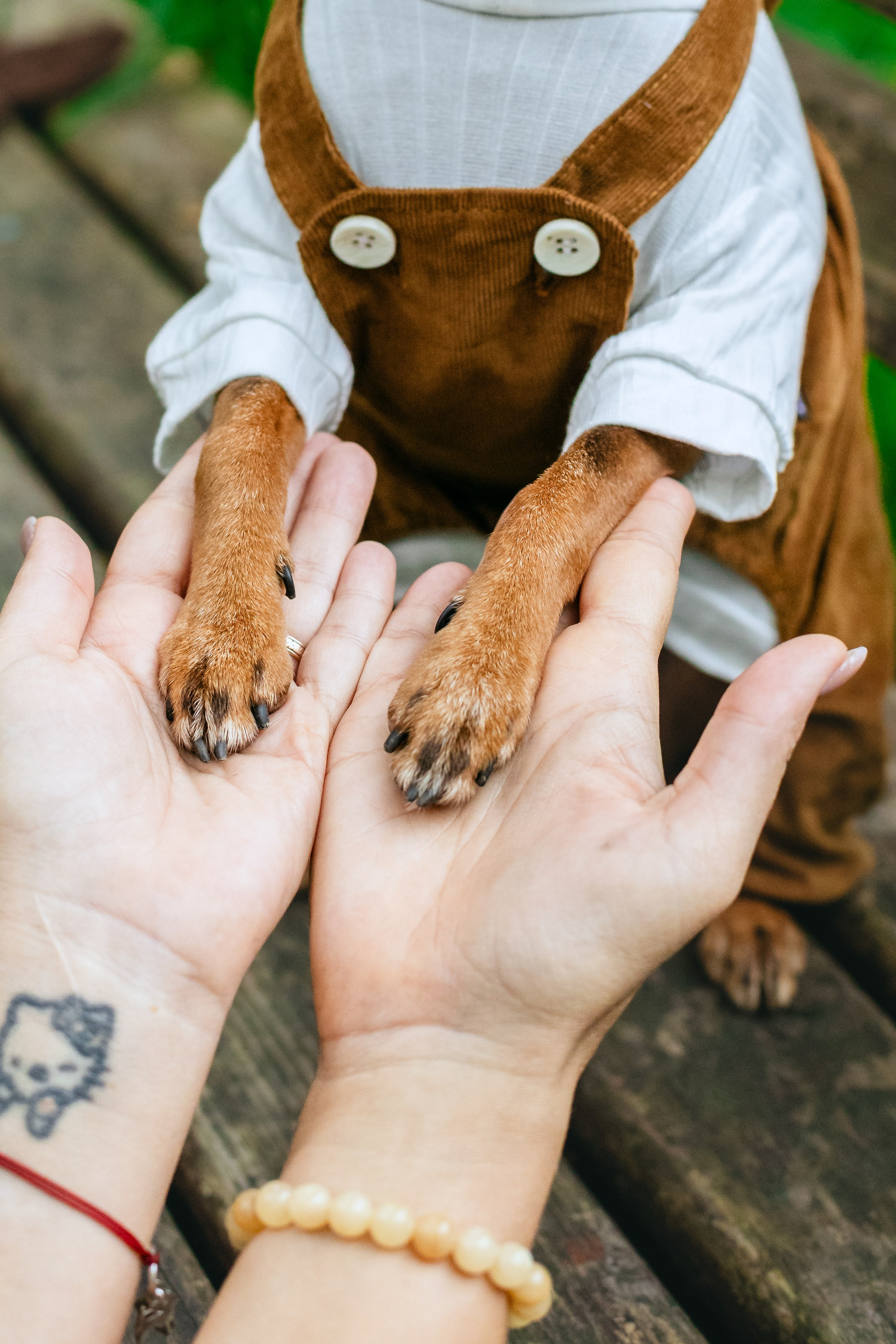 Юля и Леонид. Фотограф-анималист Татьяна Степанова