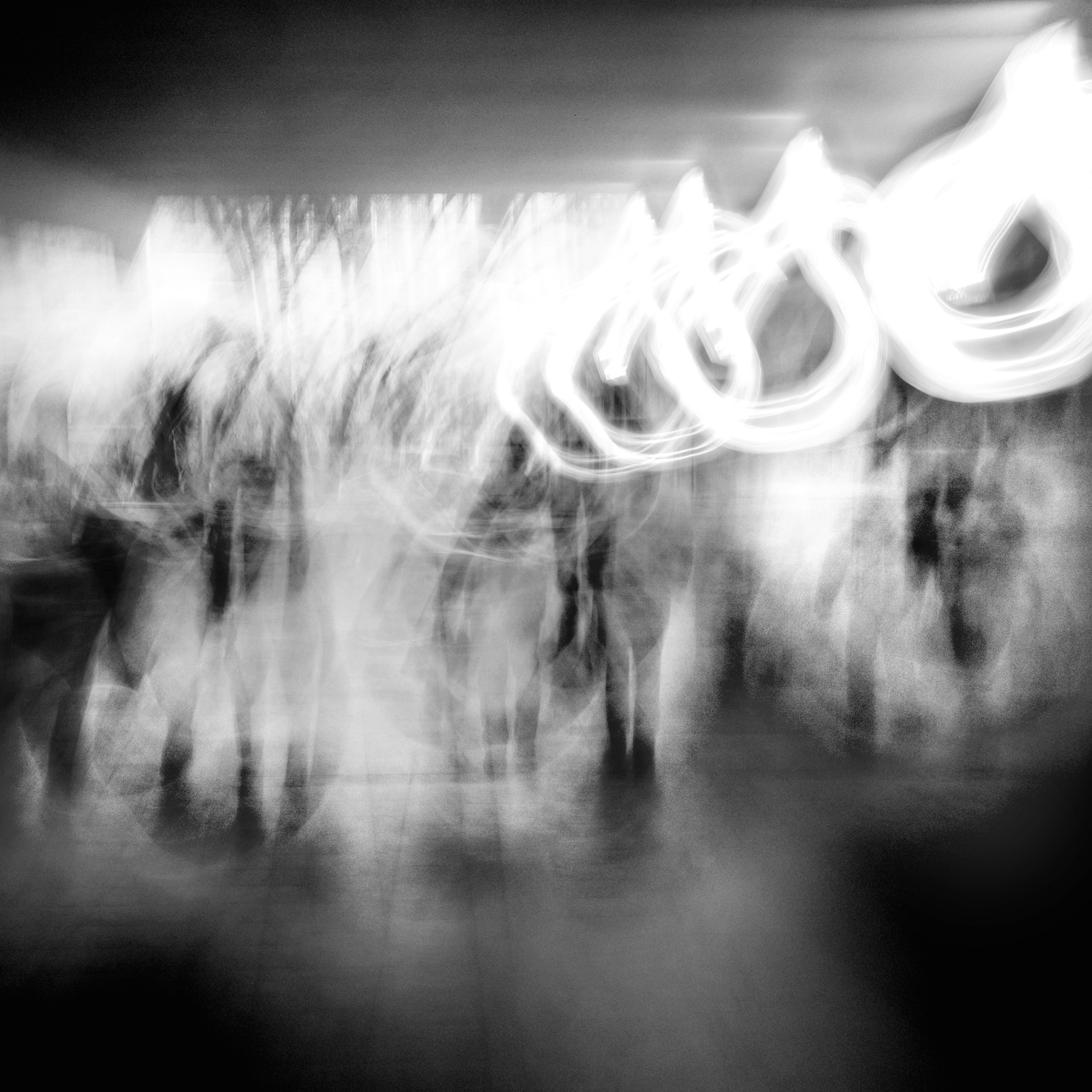 Primavera. Metagraphy