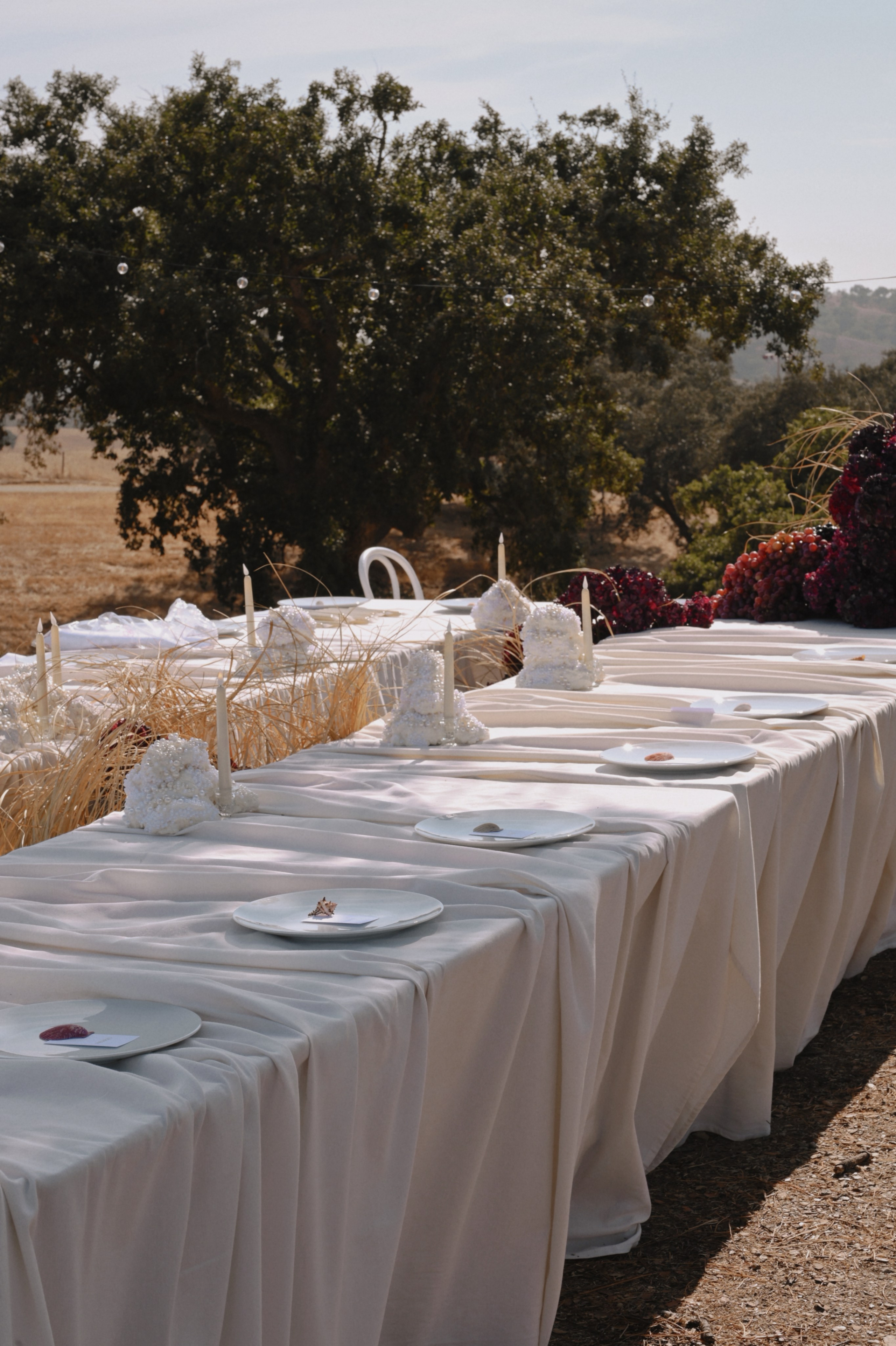 Events. Rimma Kim | photo | video | content creation