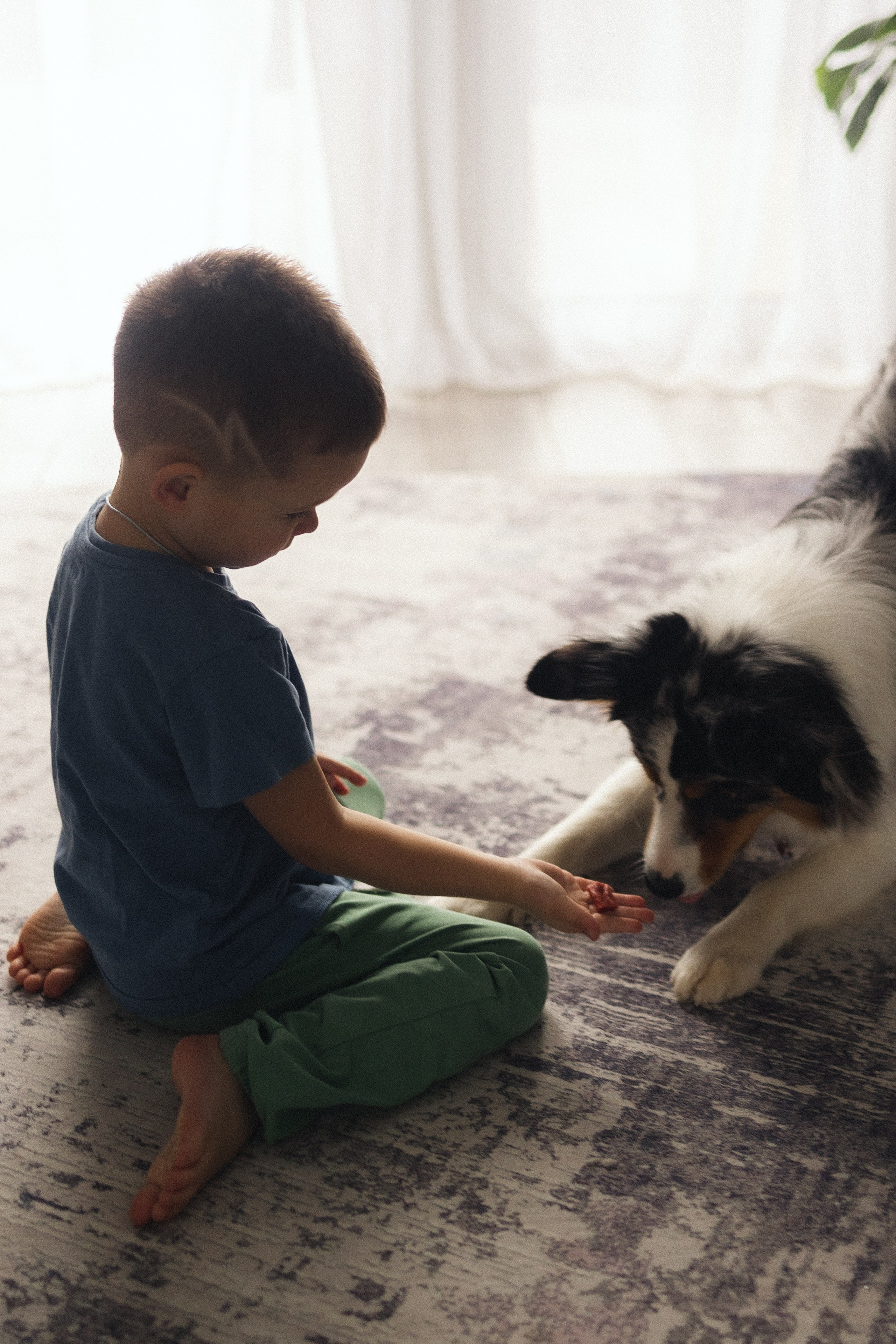 Появление брата. Фотограф из Петербурга