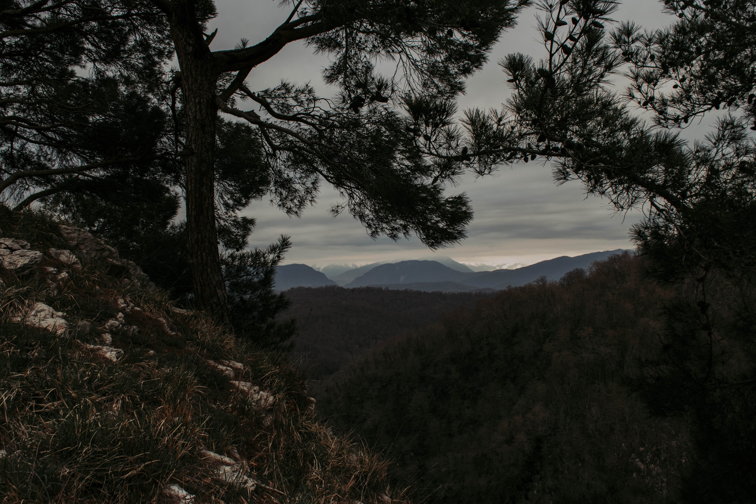 Мероприятия. Соня Мнема