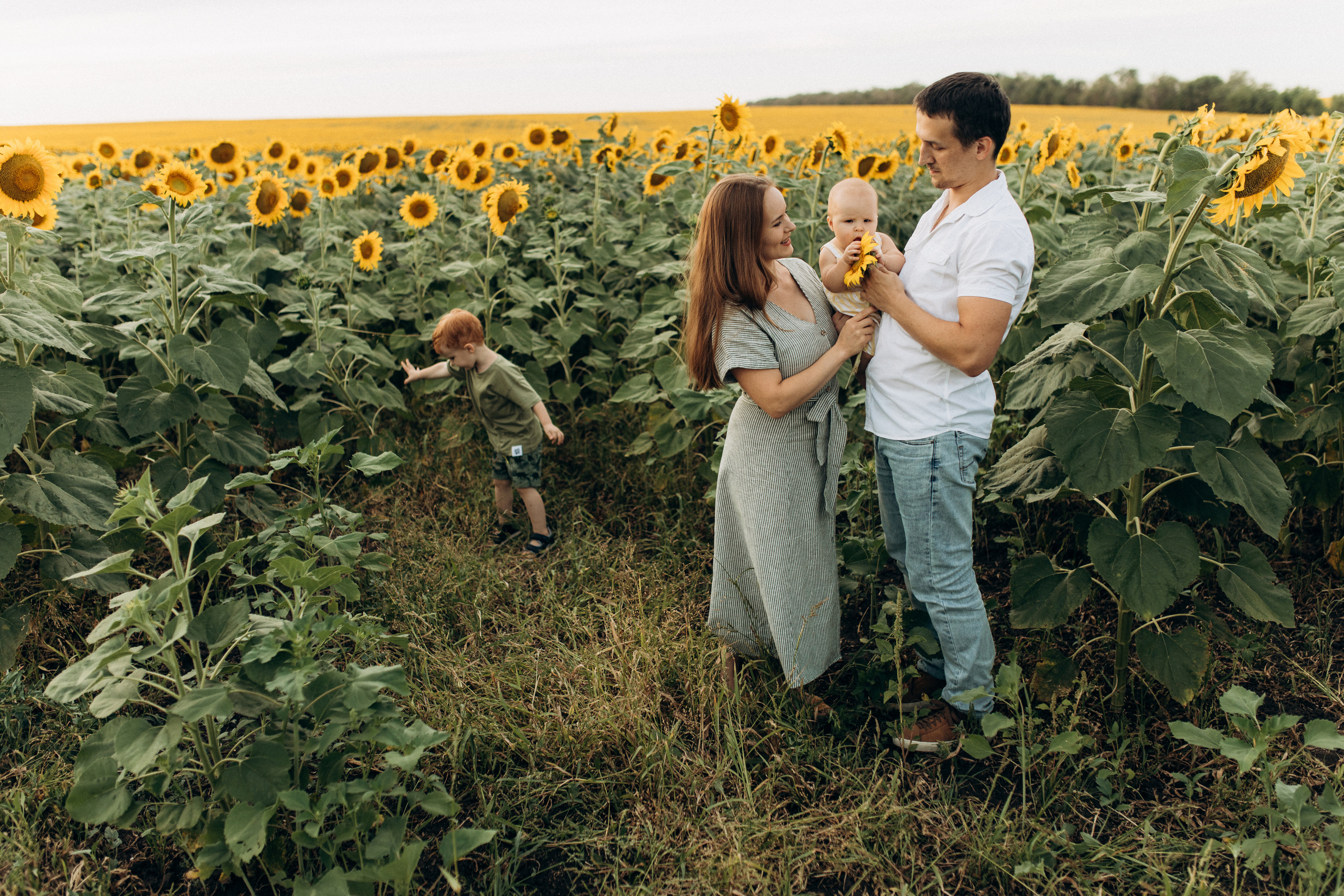 фотосессия в подсолнухах