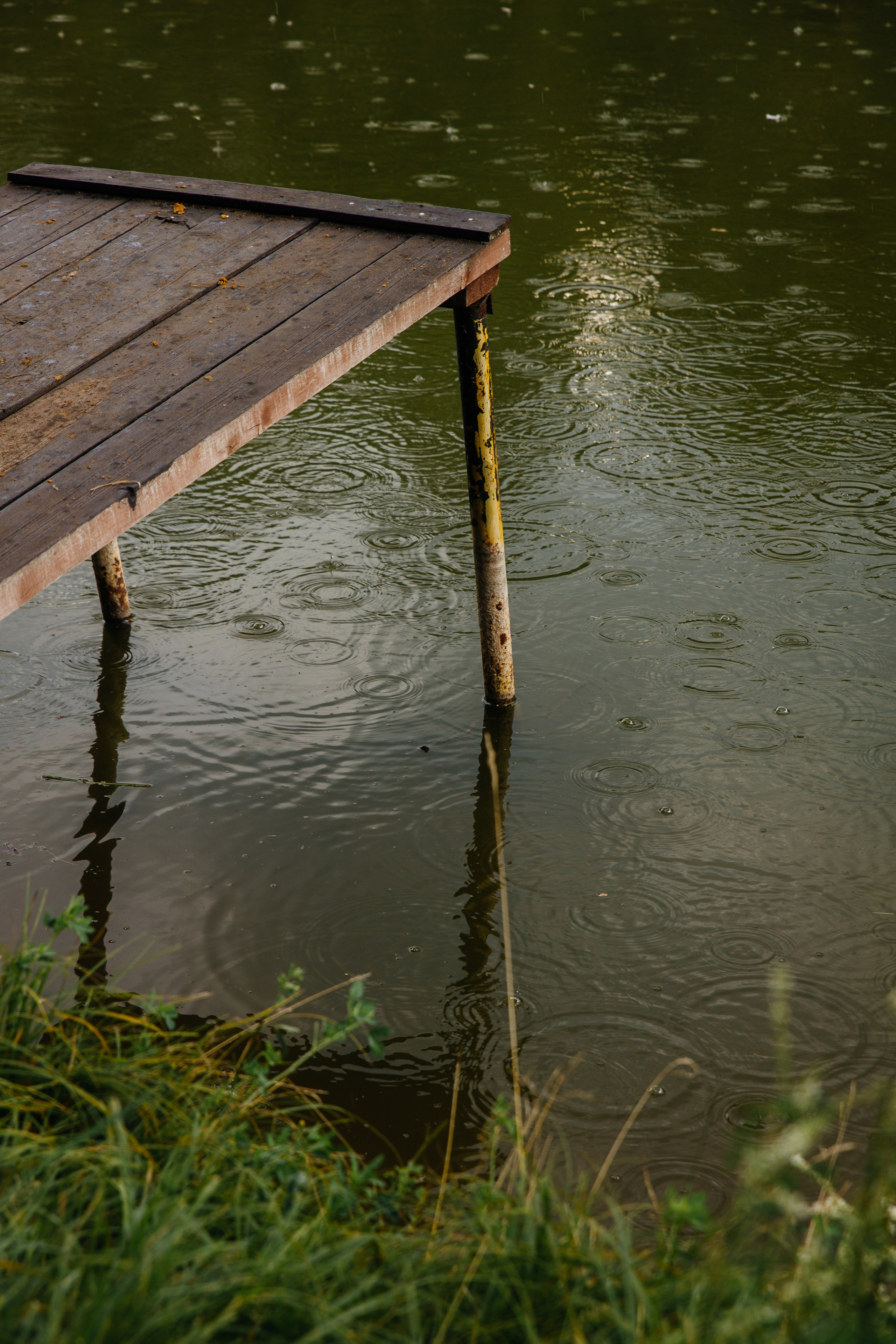 Фото репортаж праздника в «Руссой охоте» Самара. Семейный фотограф в Самаре Елена Ефимова