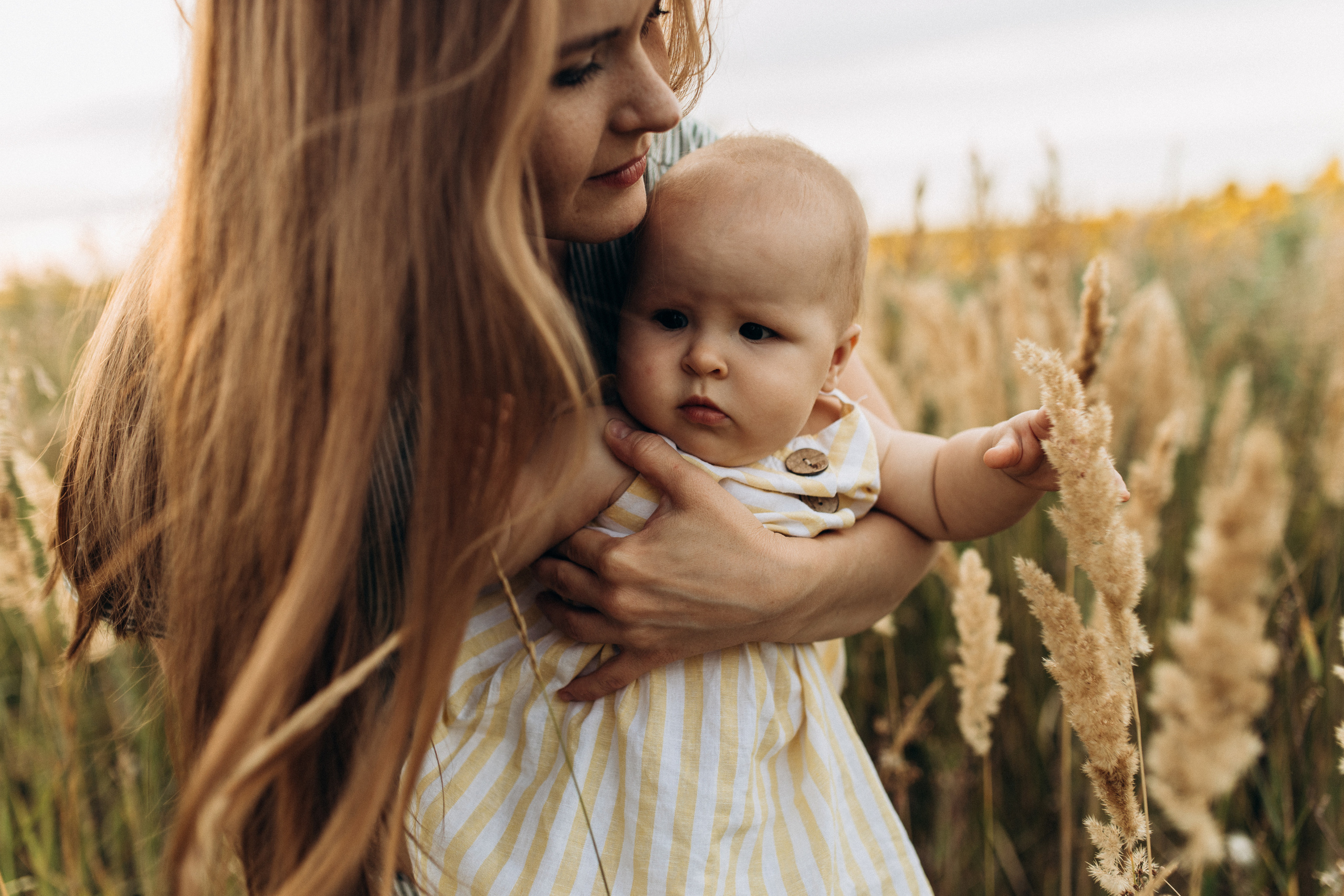 Семейная фотосессия в поле. Семейный фотограф в Самаре Елена Ефимова