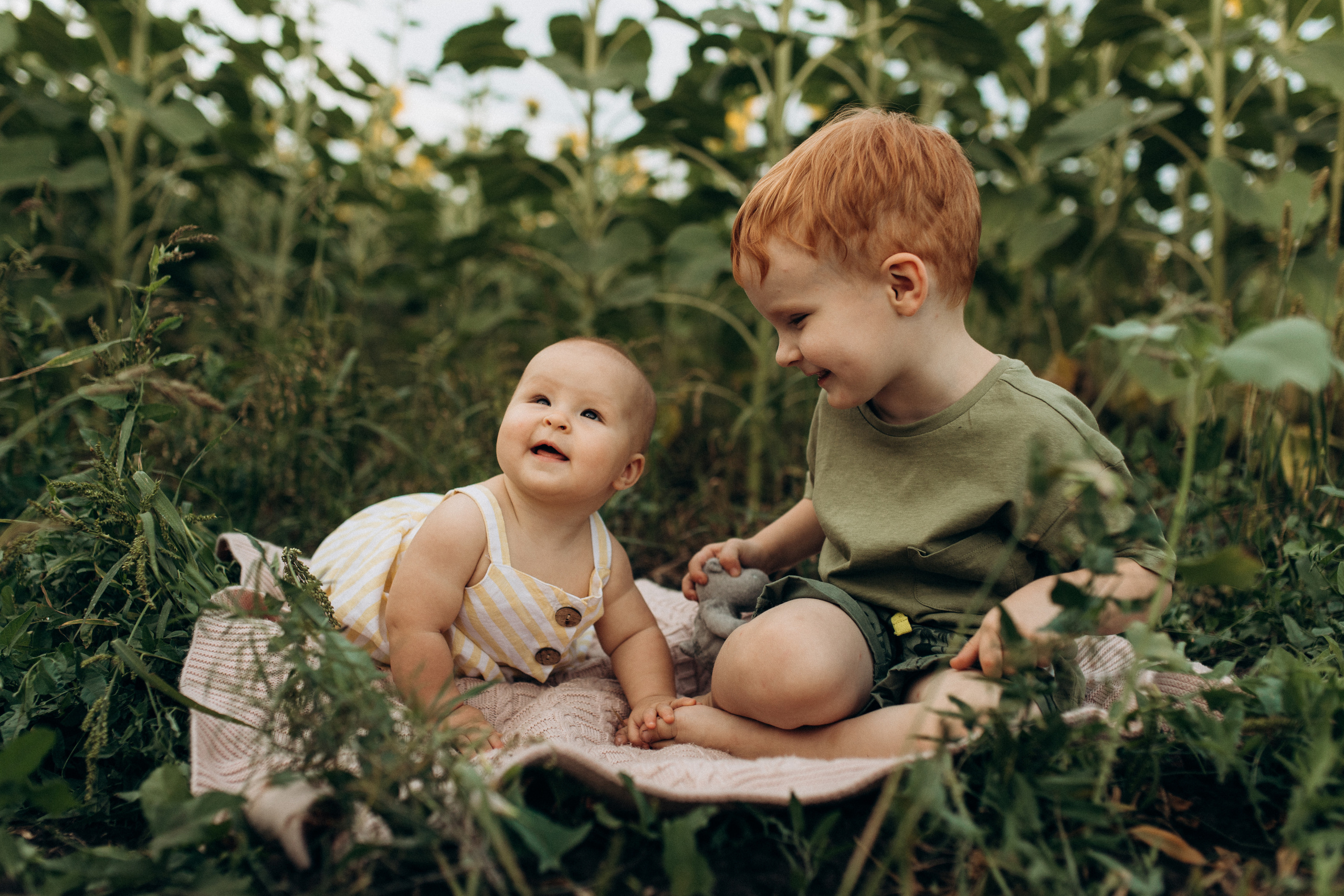 Семейная фотосессия в поле. Семейный фотограф в Самаре Елена Ефимова