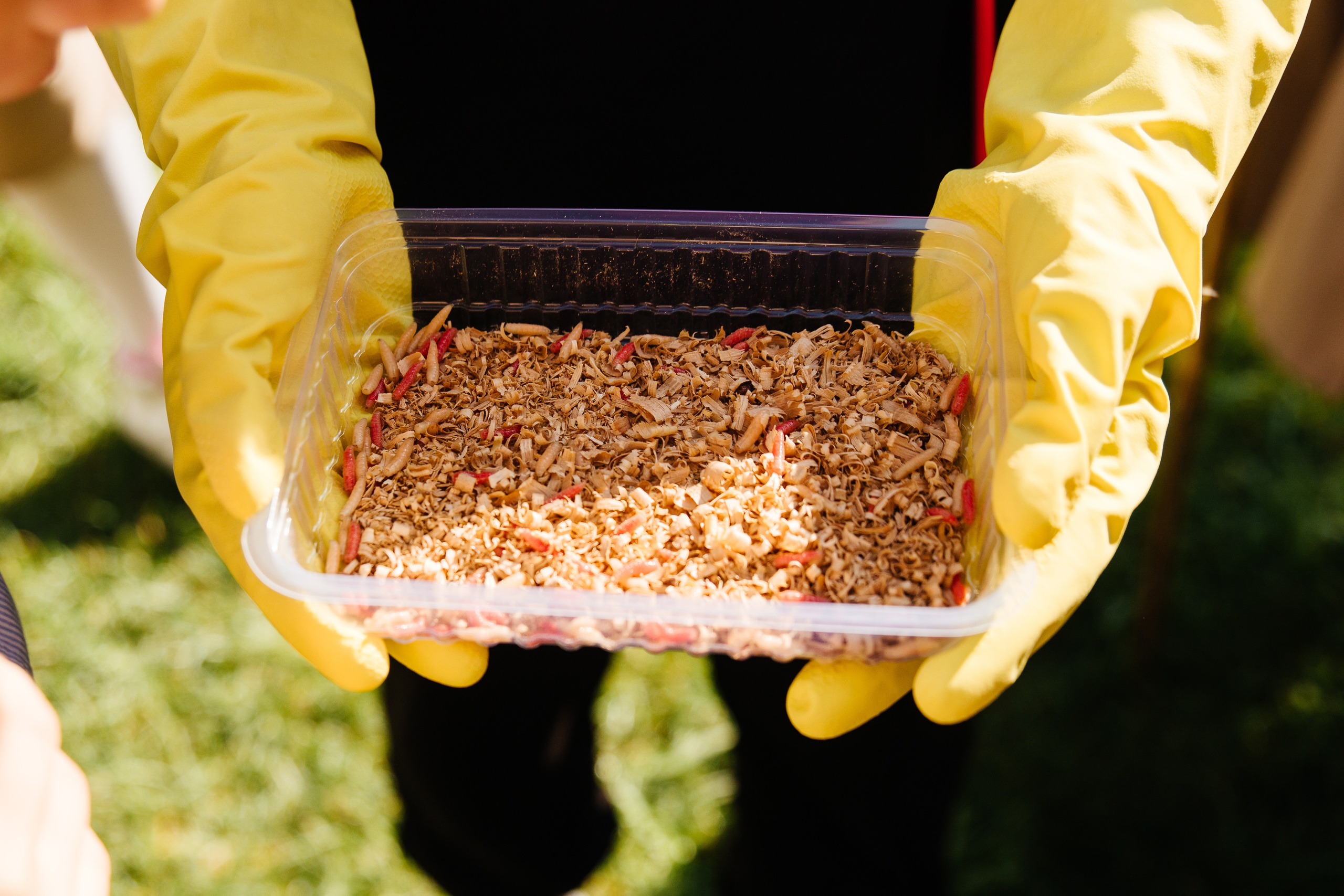 Фото репортаж праздника в «Руссой охоте» Самара. Семейный фотограф в Самаре Елена Ефимова