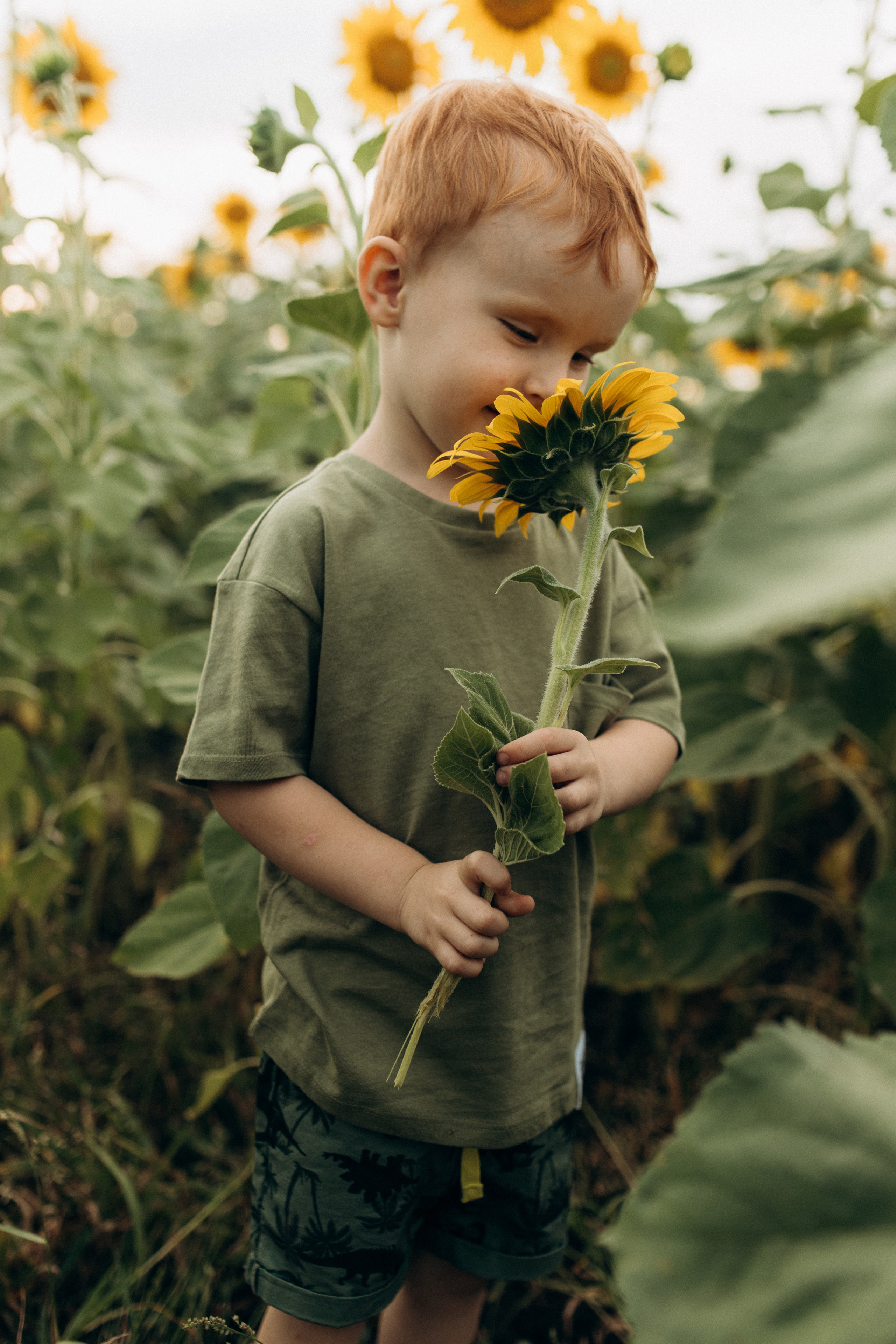 Семейная фотосессия в поле. Семейный фотограф в Самаре Елена Ефимова