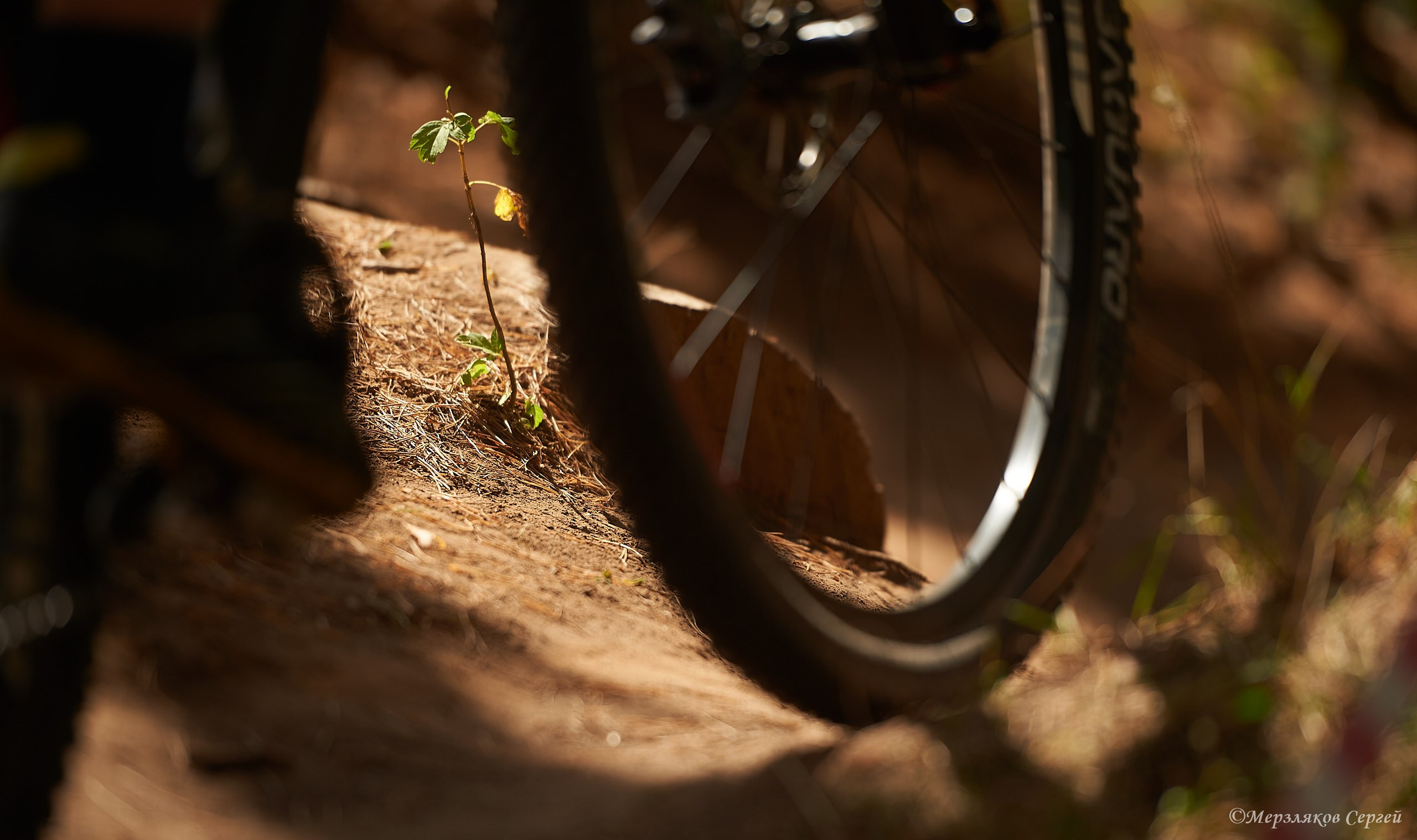 2023 год. Спортивный репортажный фотограф в Ижевске Сергей Мерзляков